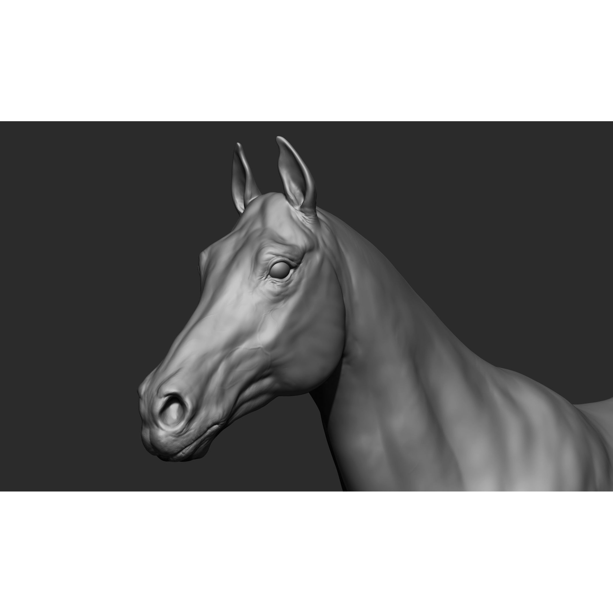 Domestic Animal Collection - Game-Ready 3D Model - View 24