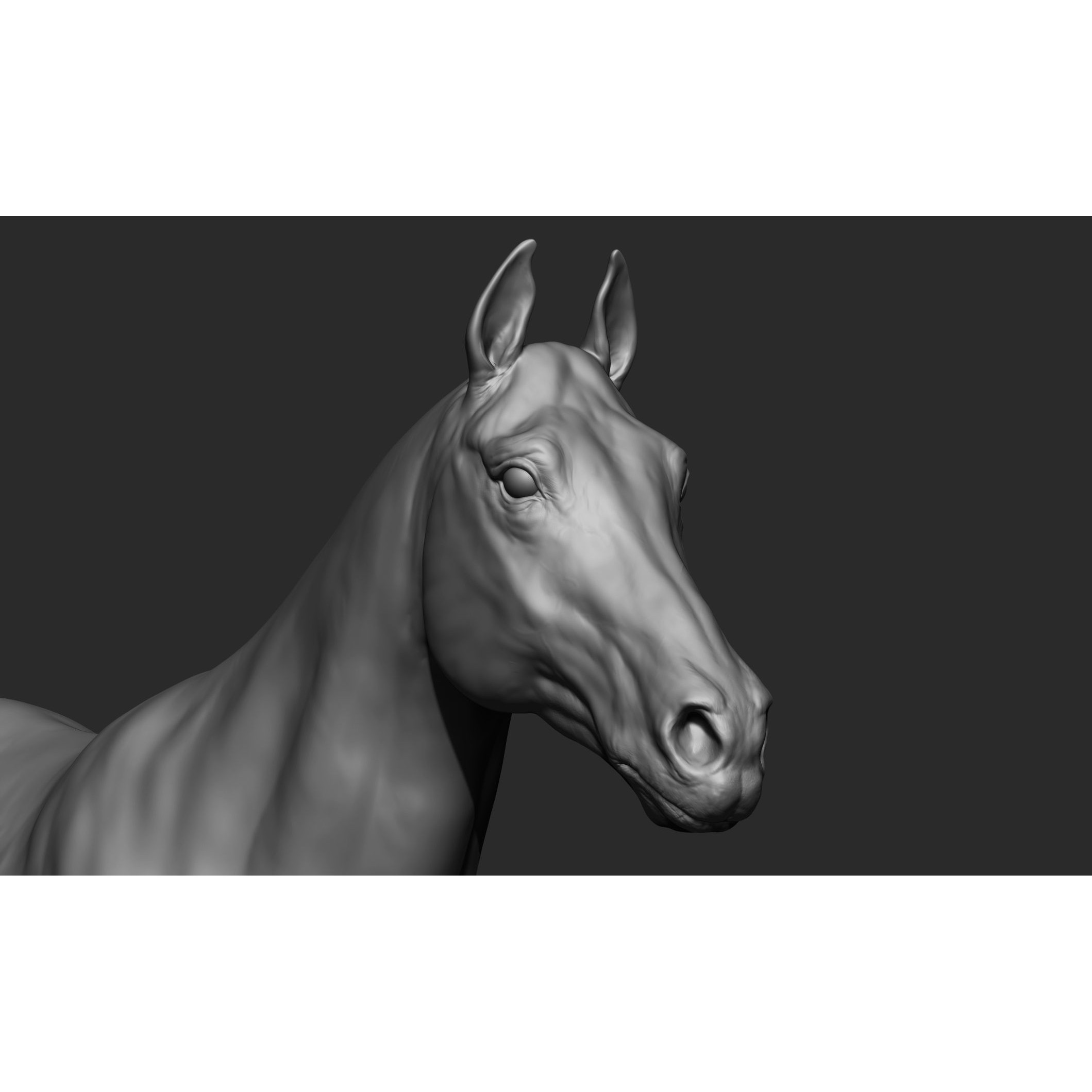 Domestic Animal Collection - Game-Ready 3D Model - View 25