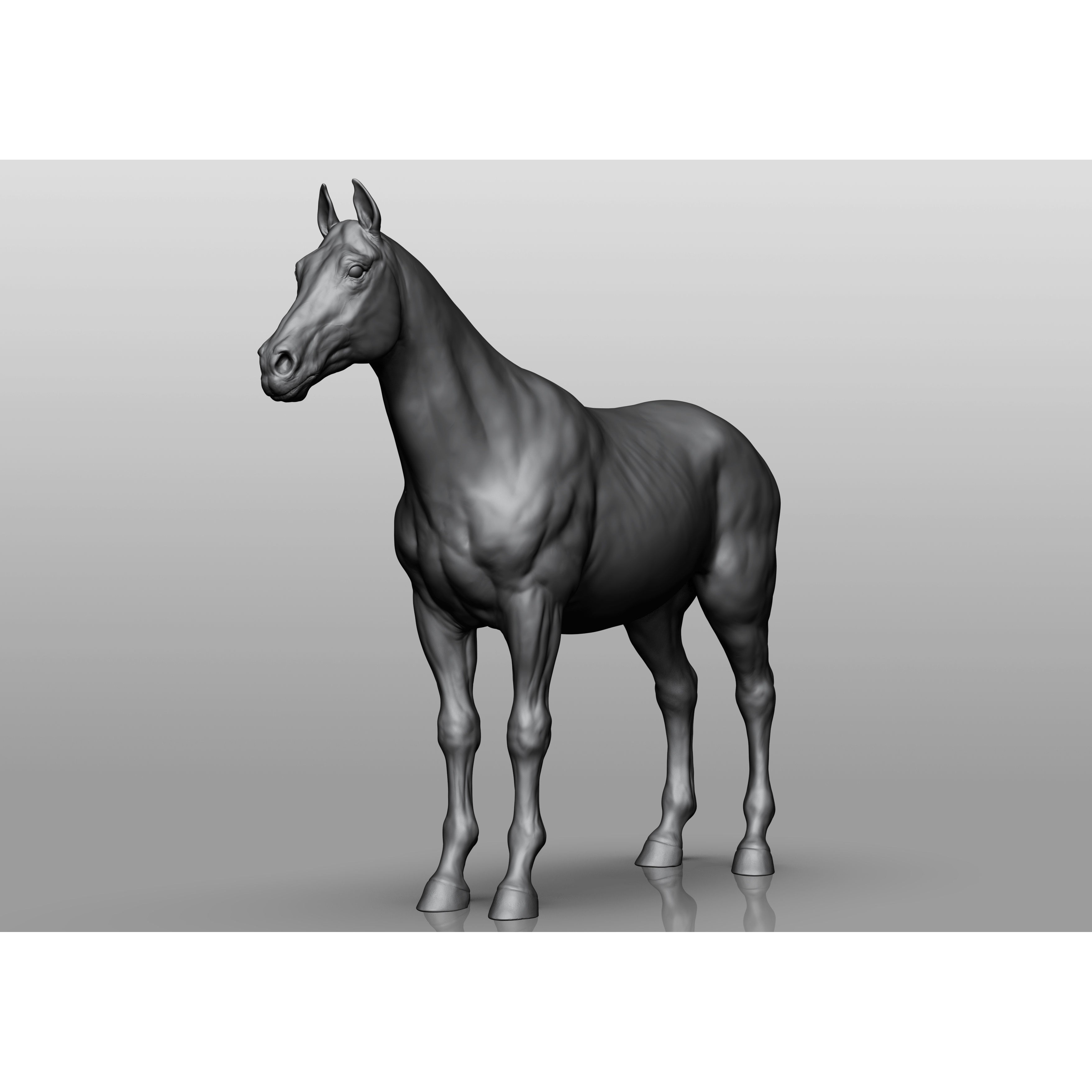 Domestic Animal Collection - Game-Ready 3D Model - View 3