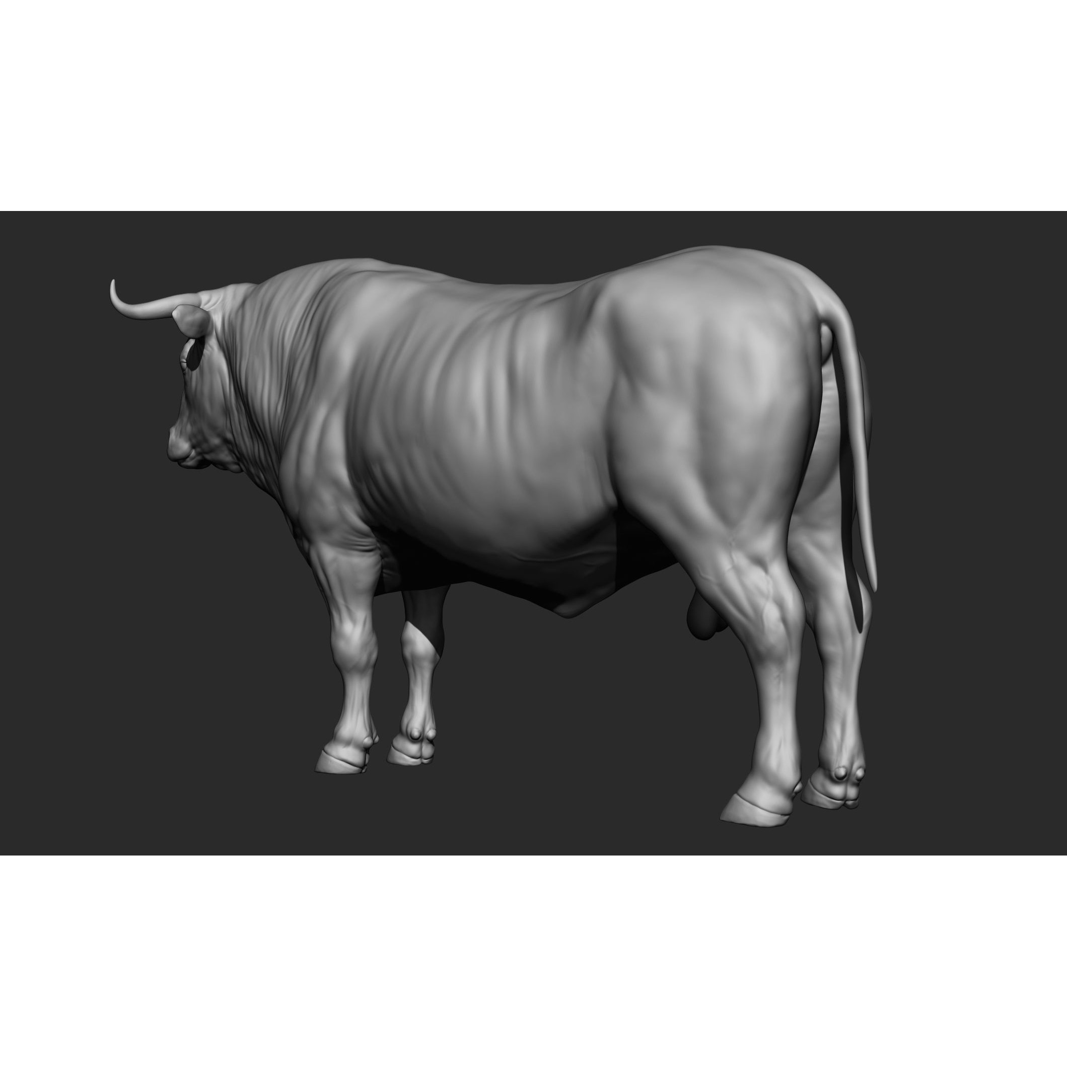 Domestic Animal Collection - Game-Ready 3D Model - View 31
