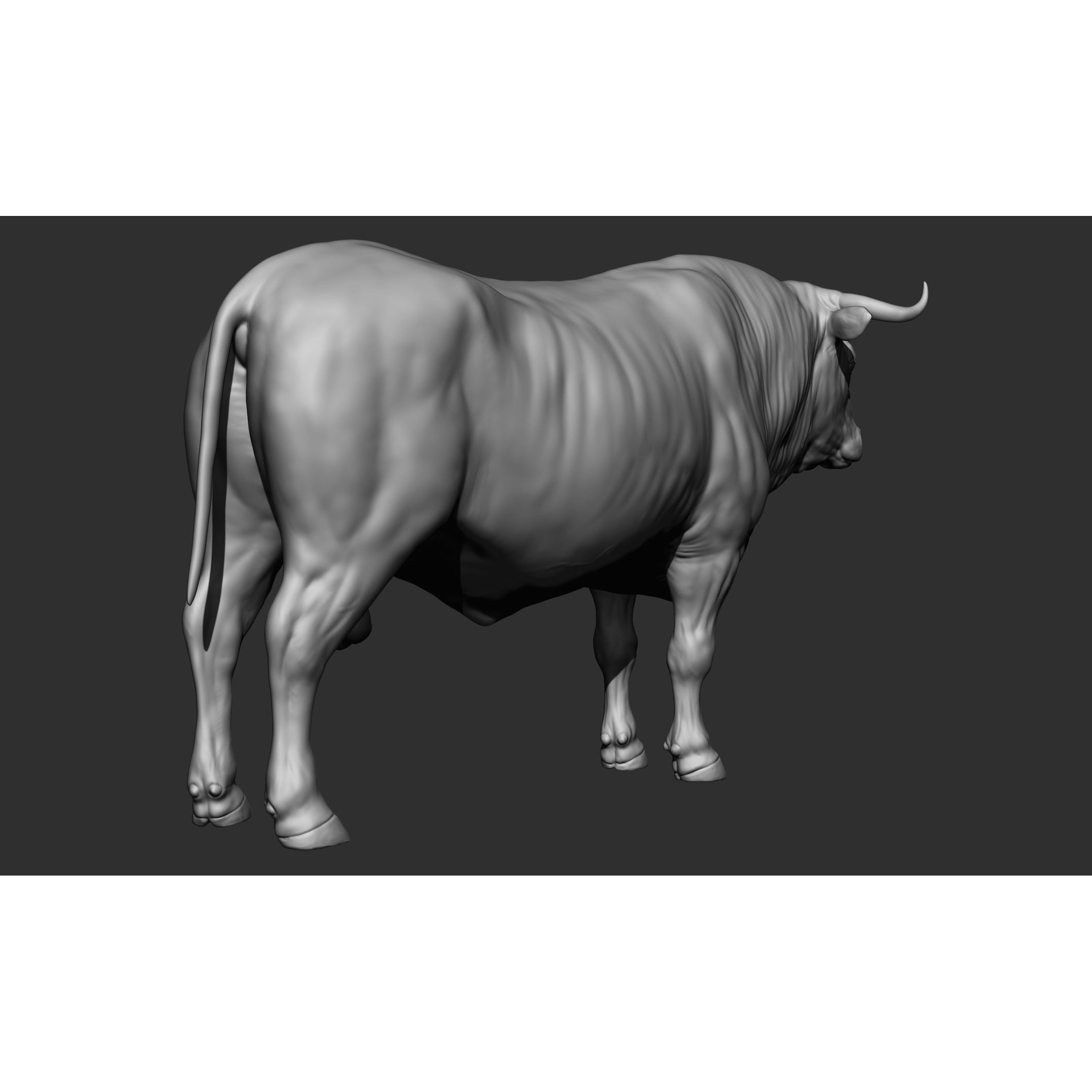 Domestic Animal Collection - Game-Ready 3D Model - View 33