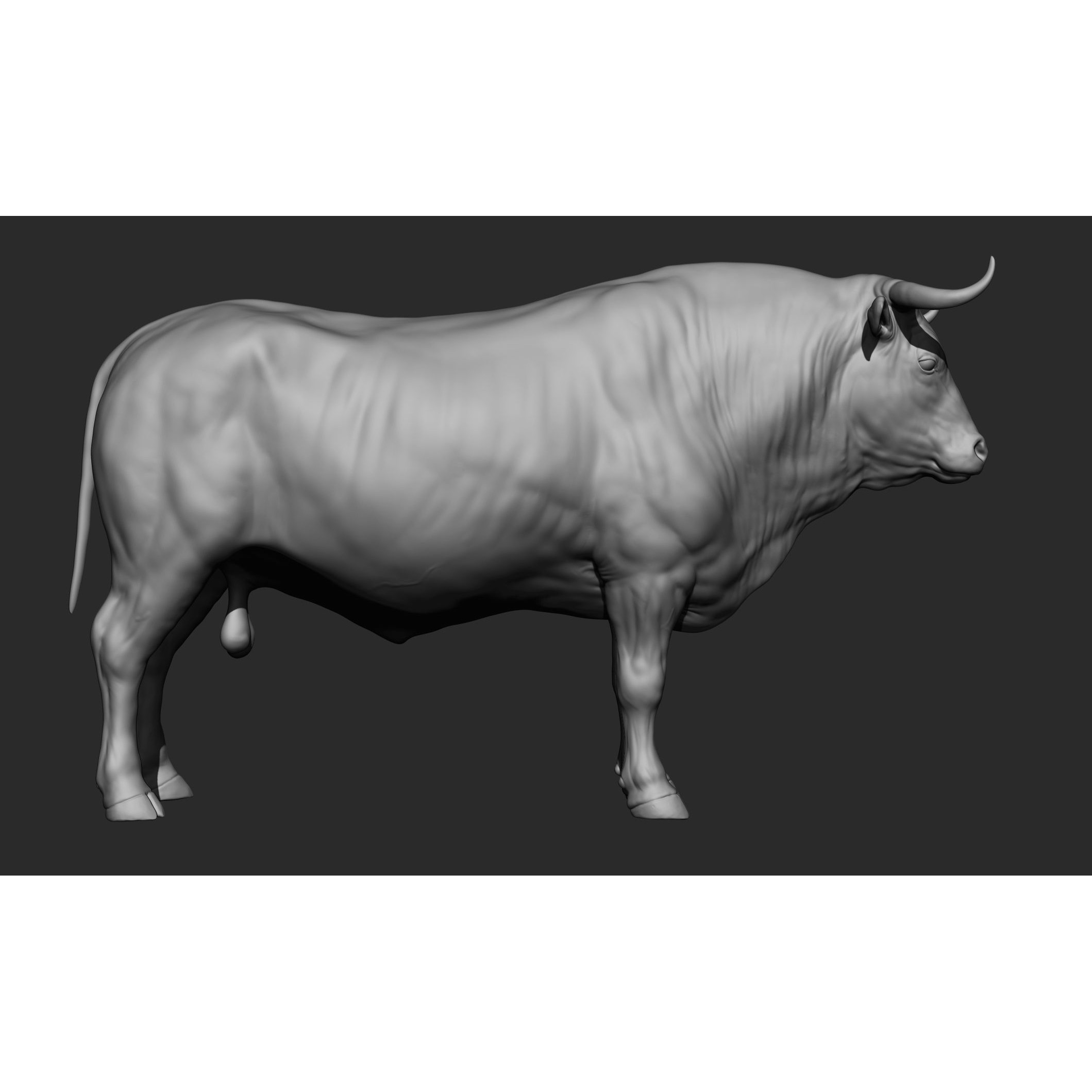 Domestic Animal Collection - Game-Ready 3D Model - View 34