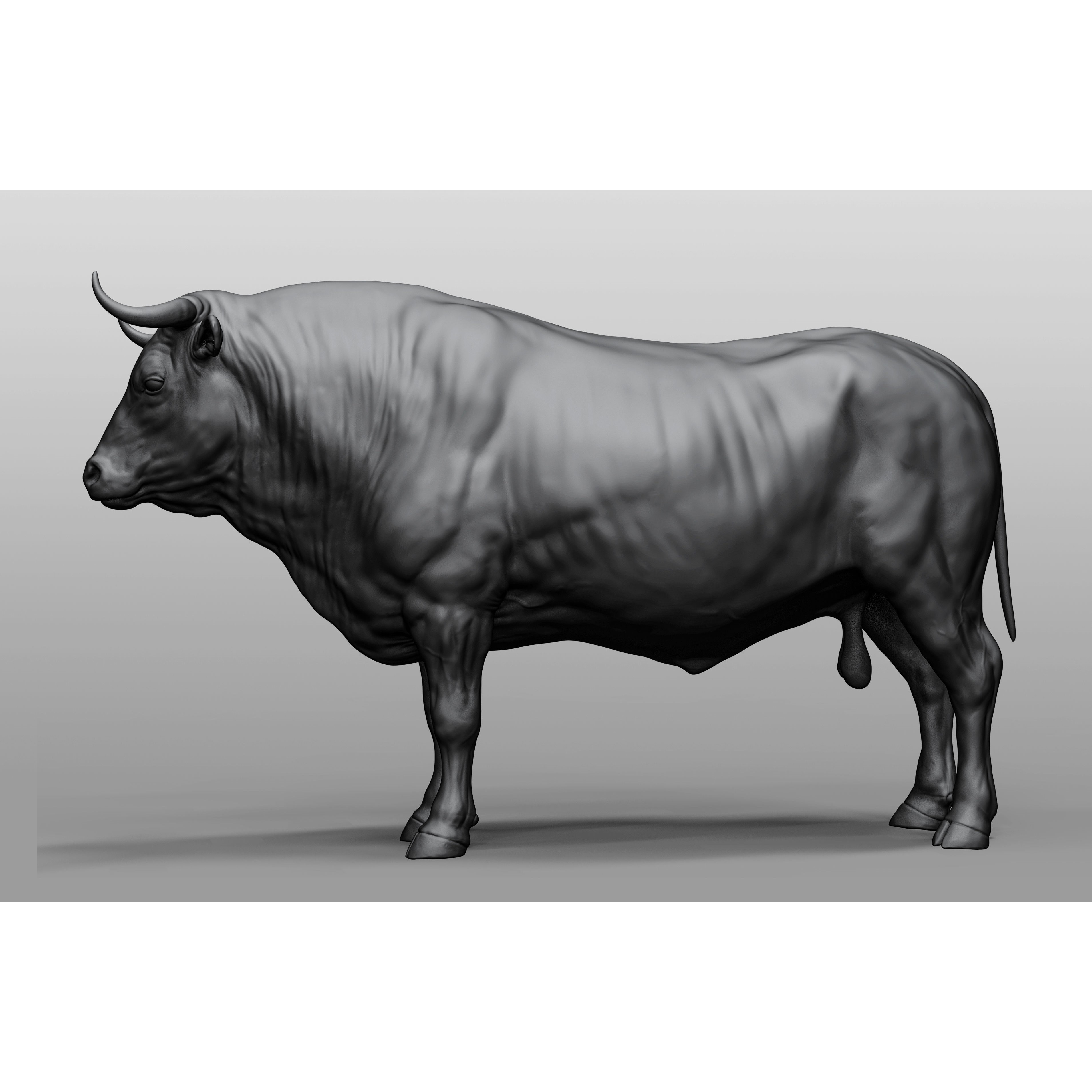 Domestic Animal Collection - Game-Ready 3D Model - View 4