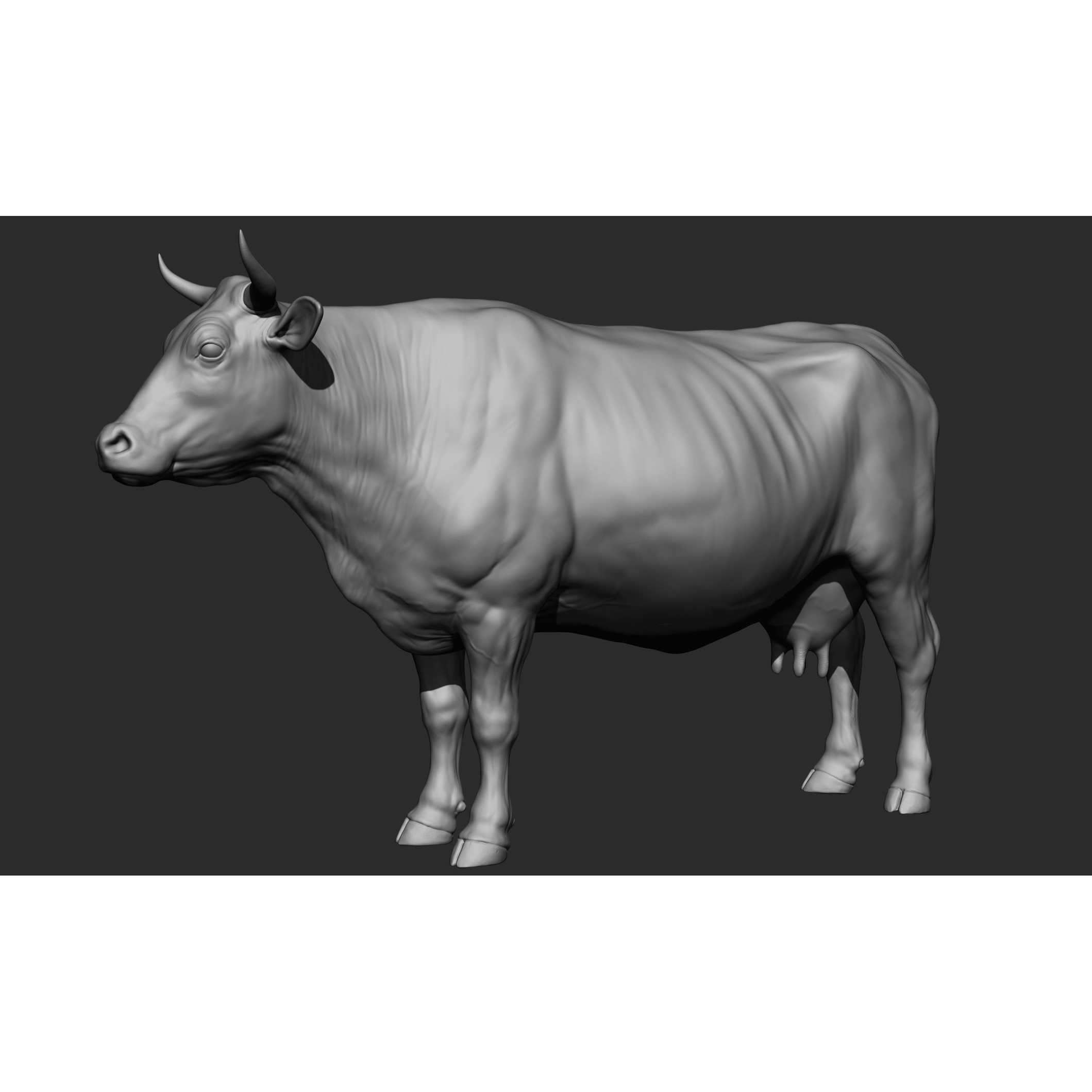 Domestic Animal Collection - Game-Ready 3D Model - View 41