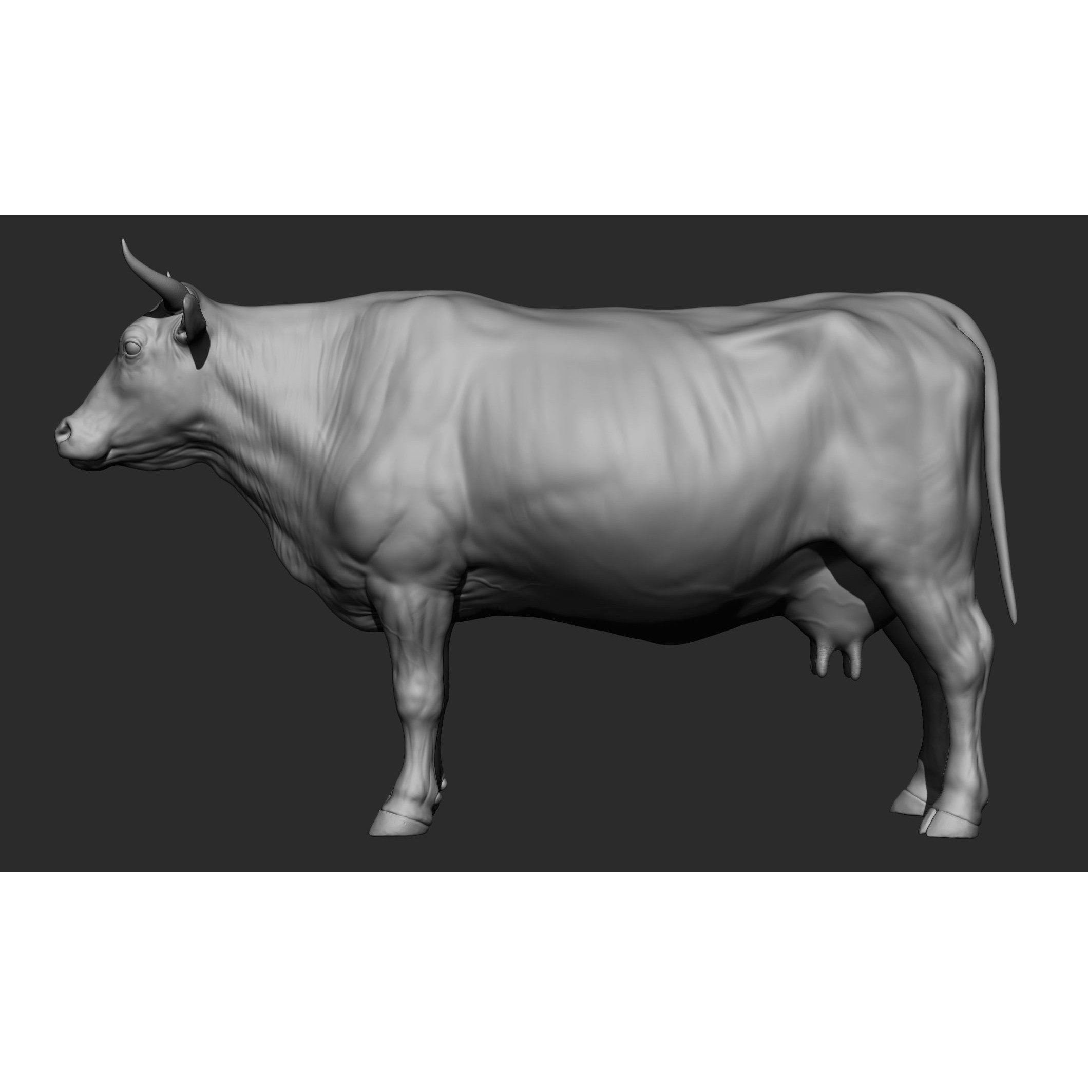 Domestic Animal Collection - Game-Ready 3D Model - View 42