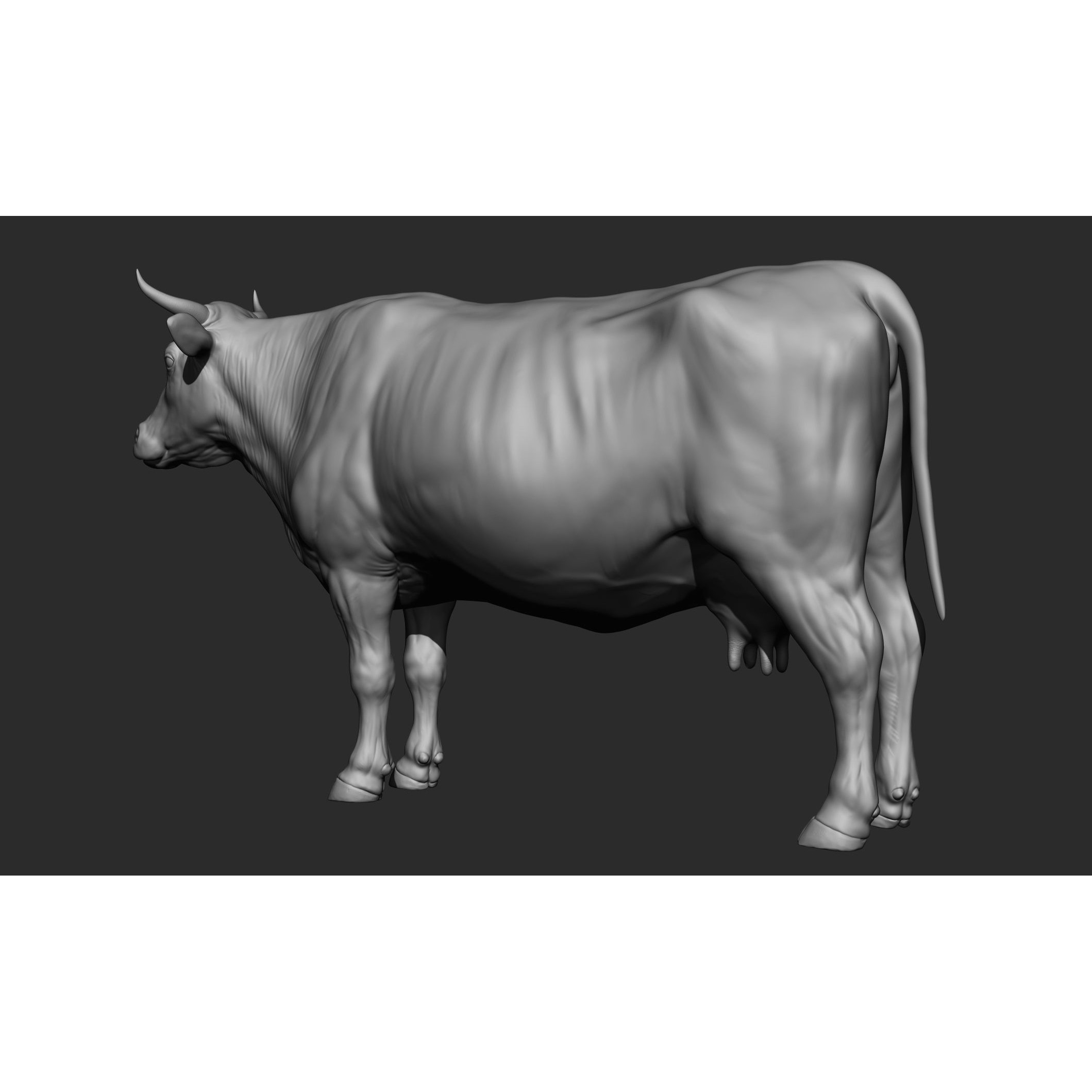 Domestic Animal Collection - Game-Ready 3D Model - View 43