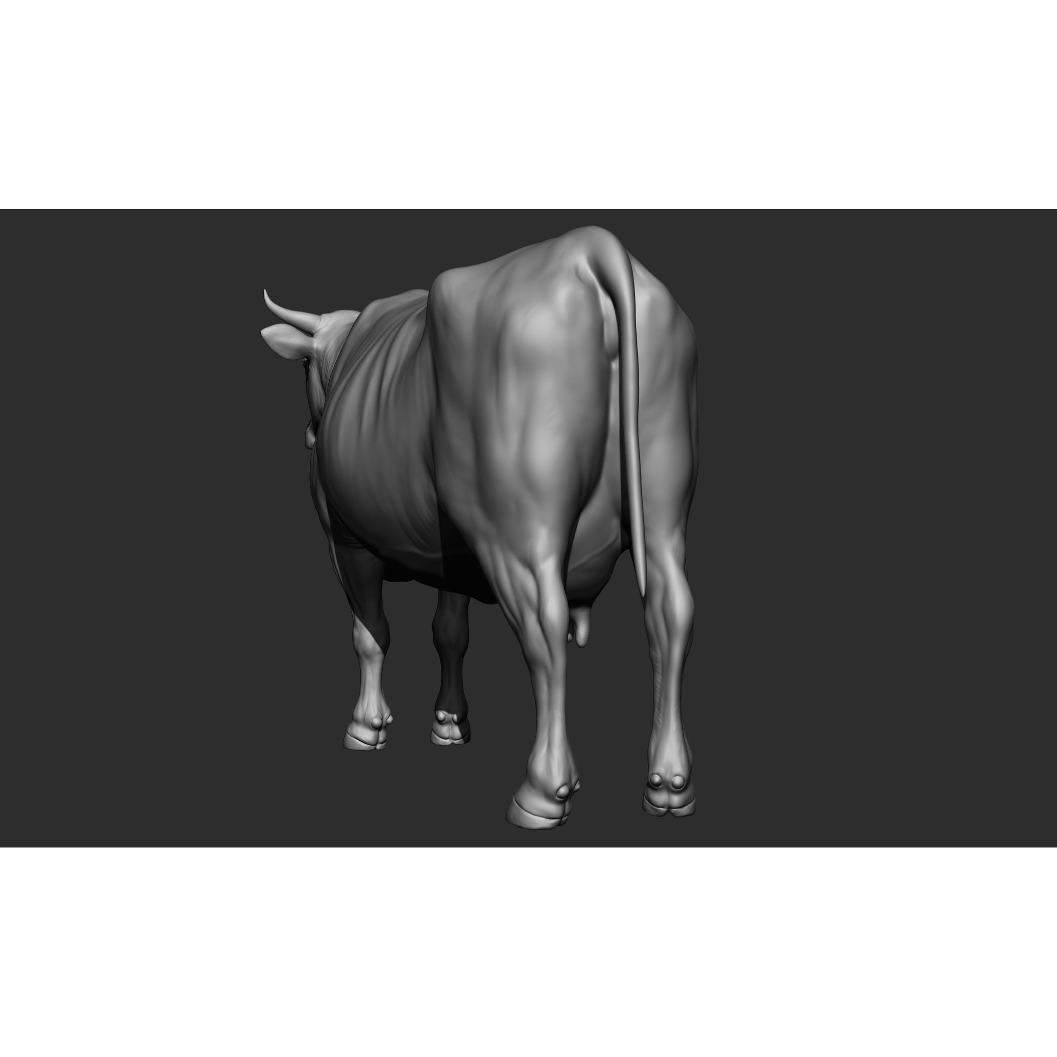 Domestic Animal Collection - Game-Ready 3D Model - View 44