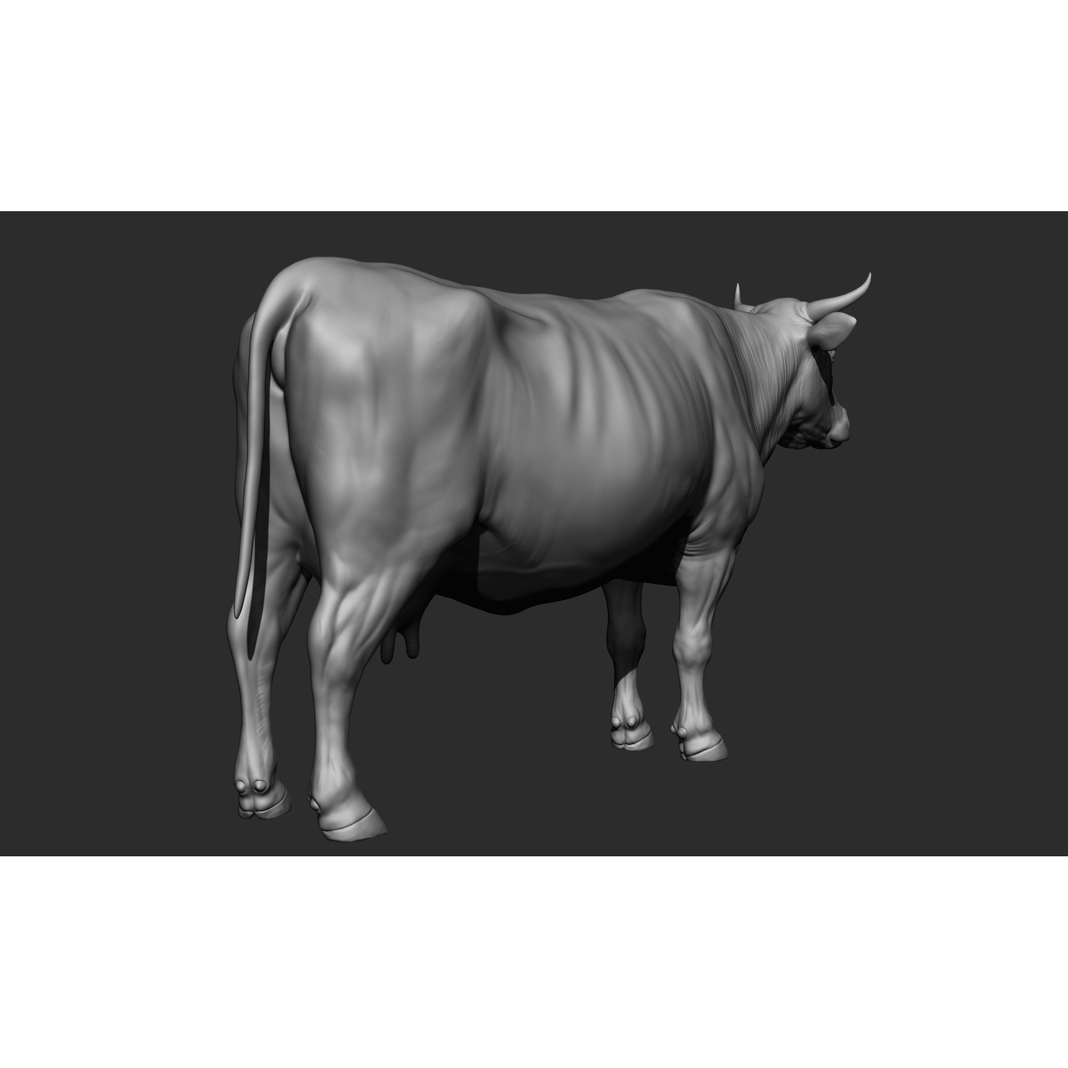 Domestic Animal Collection - Game-Ready 3D Model - View 45