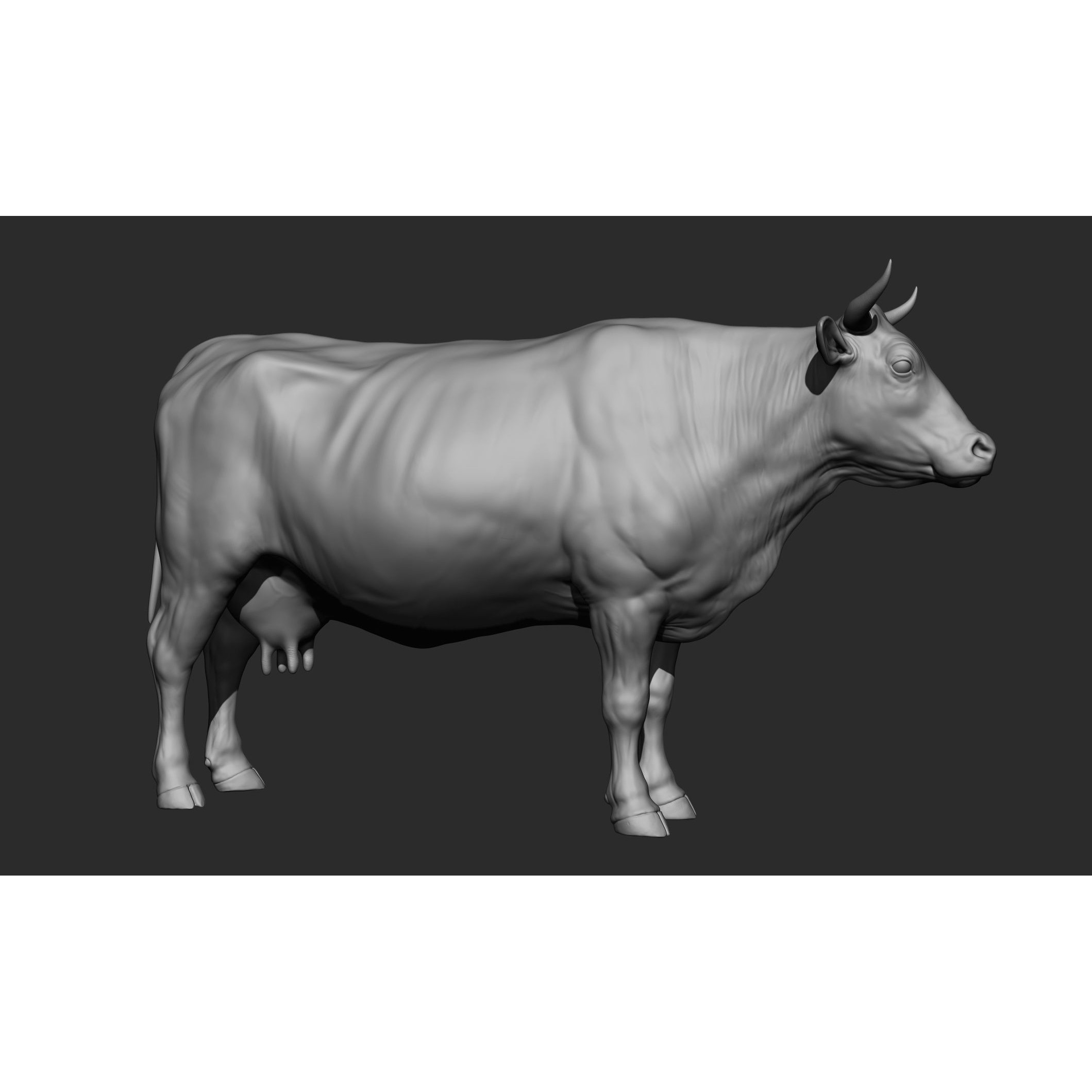 Domestic Animal Collection - Game-Ready 3D Model - View 46