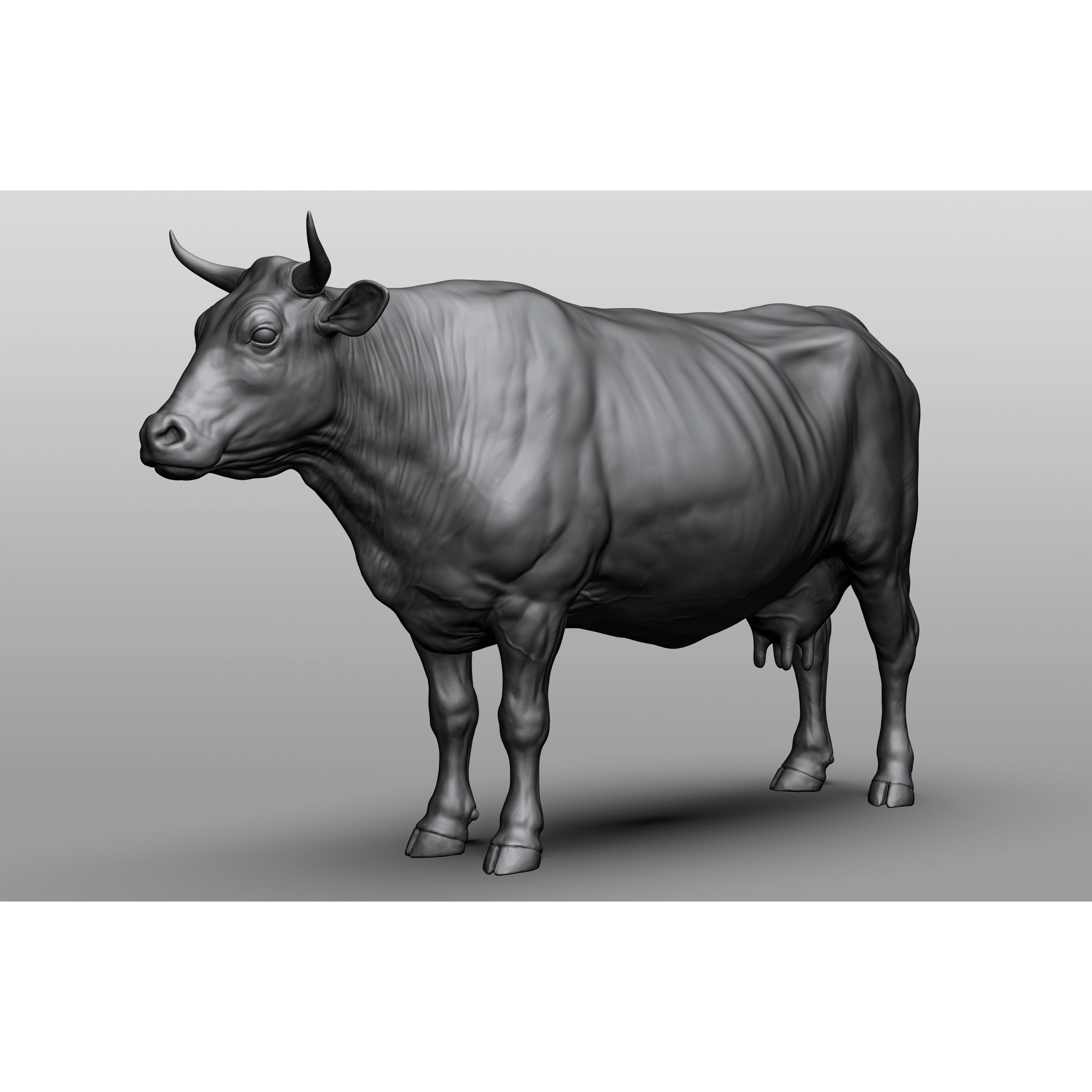 Domestic Animal Collection - Game-Ready 3D Model - View 5
