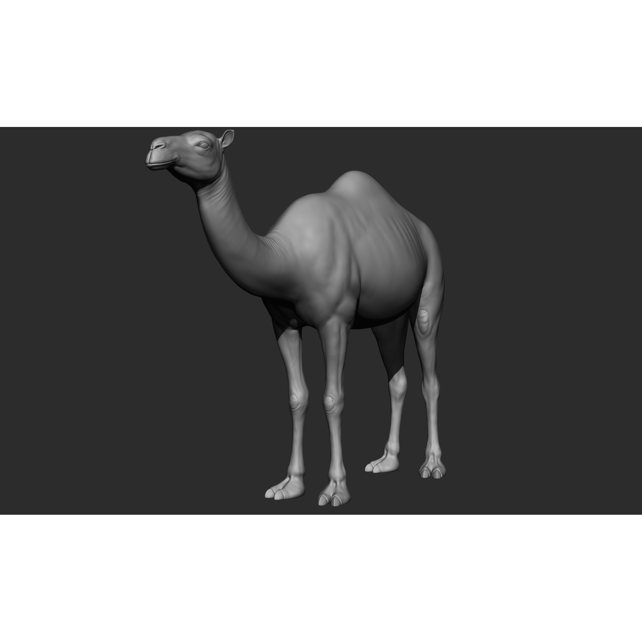 Domestic Animal Collection - Game-Ready 3D Model - View 50