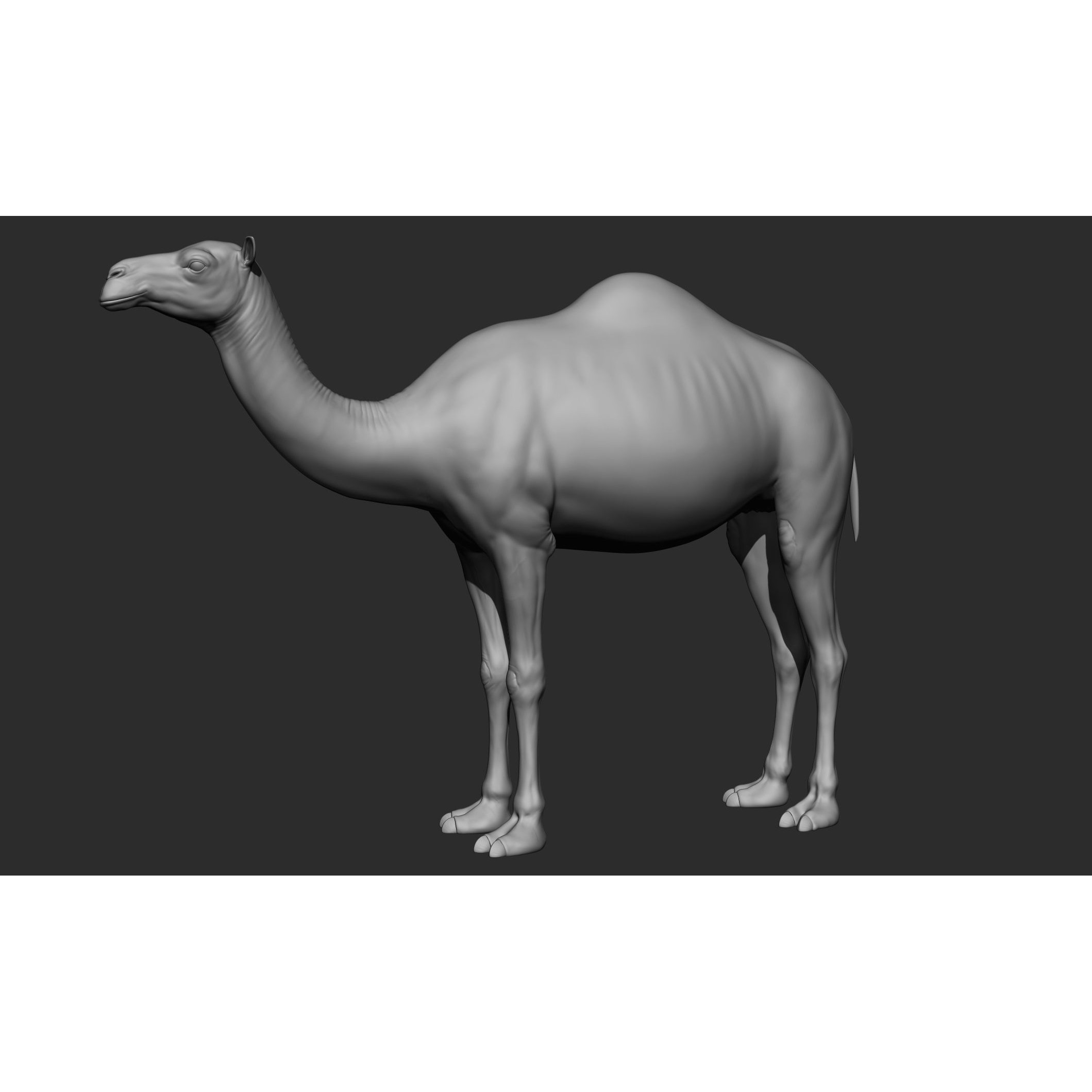 Domestic Animal Collection - Game-Ready 3D Model - View 51