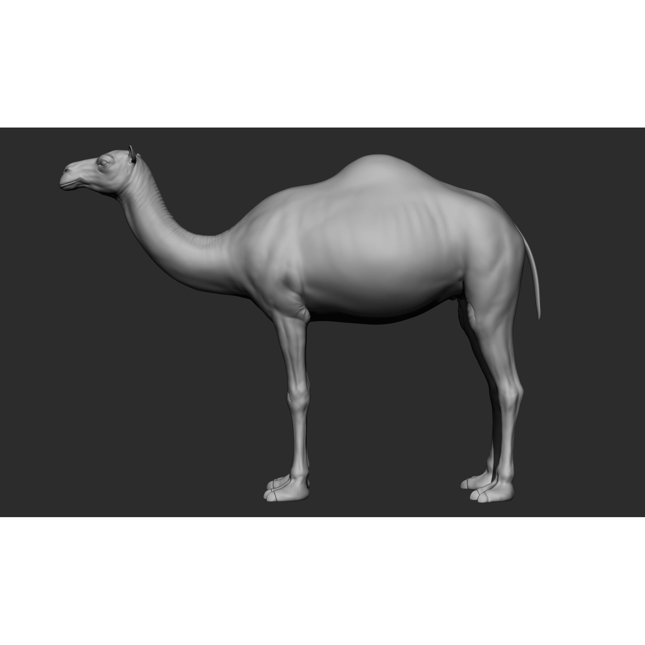 Domestic Animal Collection - Game-Ready 3D Model - View 52
