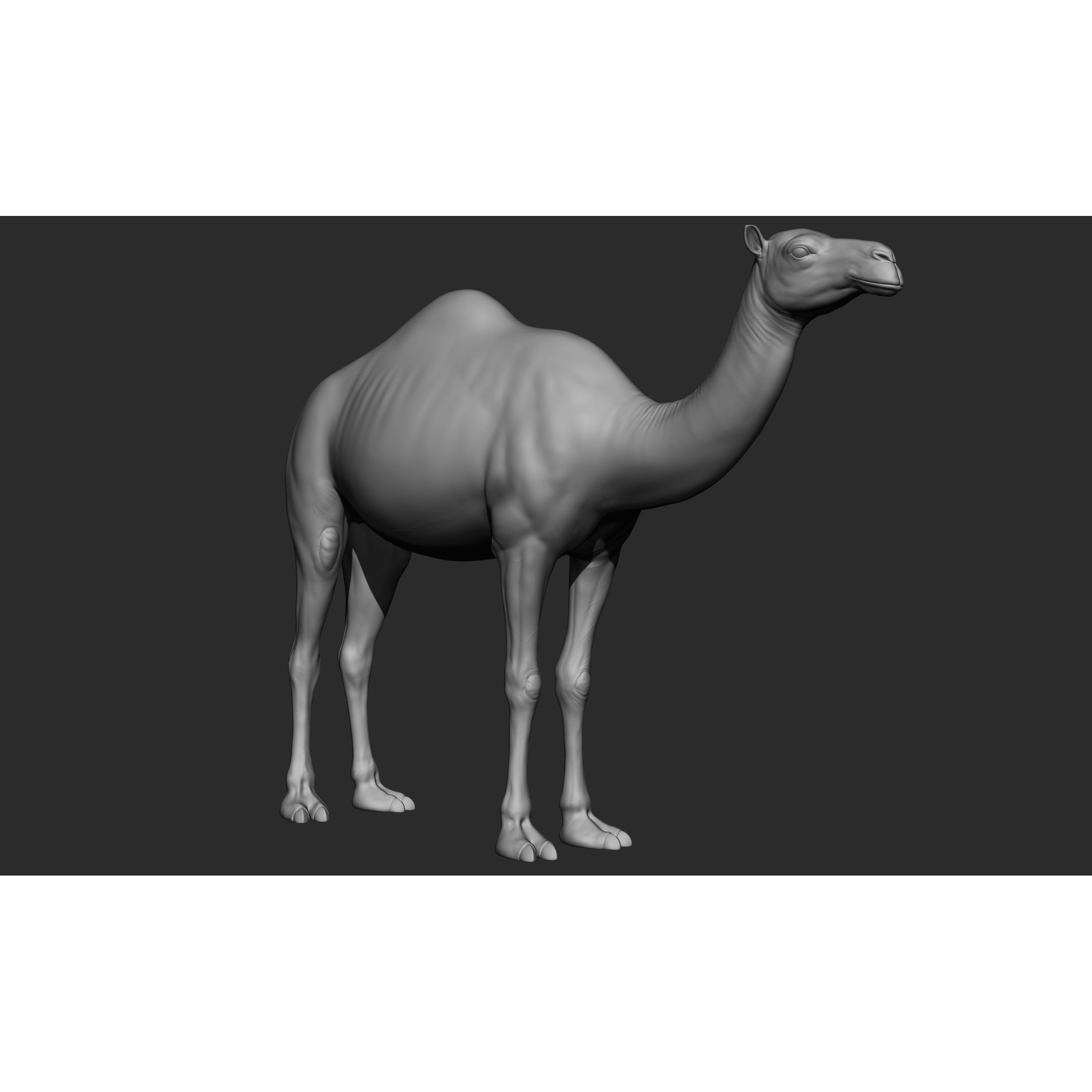 Domestic Animal Collection - Game-Ready 3D Model - View 56