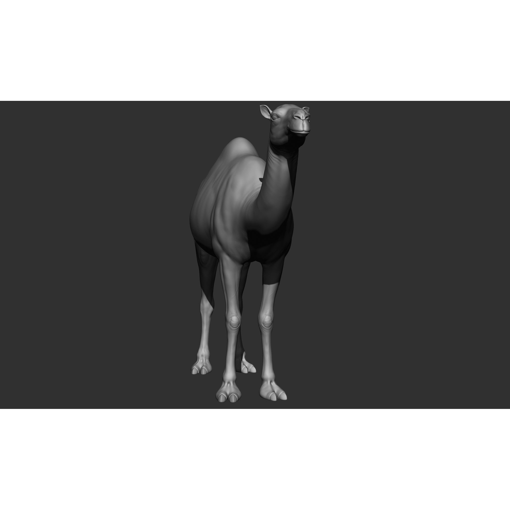 Domestic Animal Collection - Game-Ready 3D Model - View 57