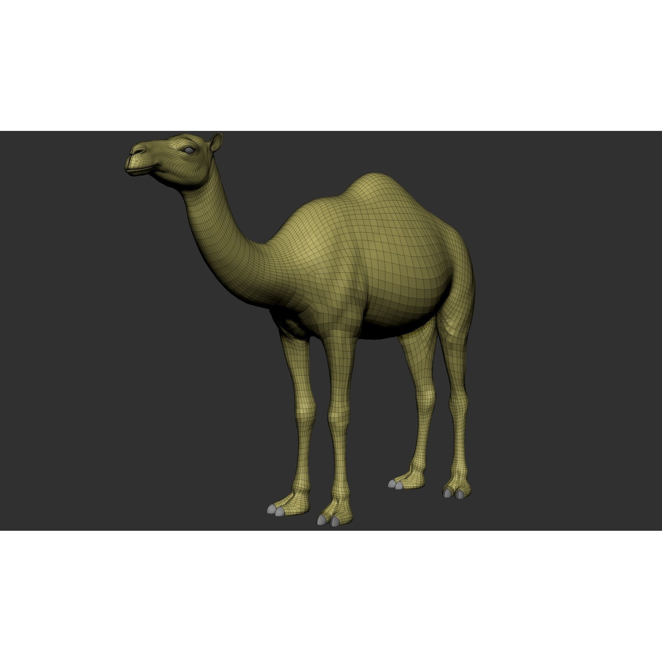 Domestic Animal Collection - Game-Ready 3D Model - View 59