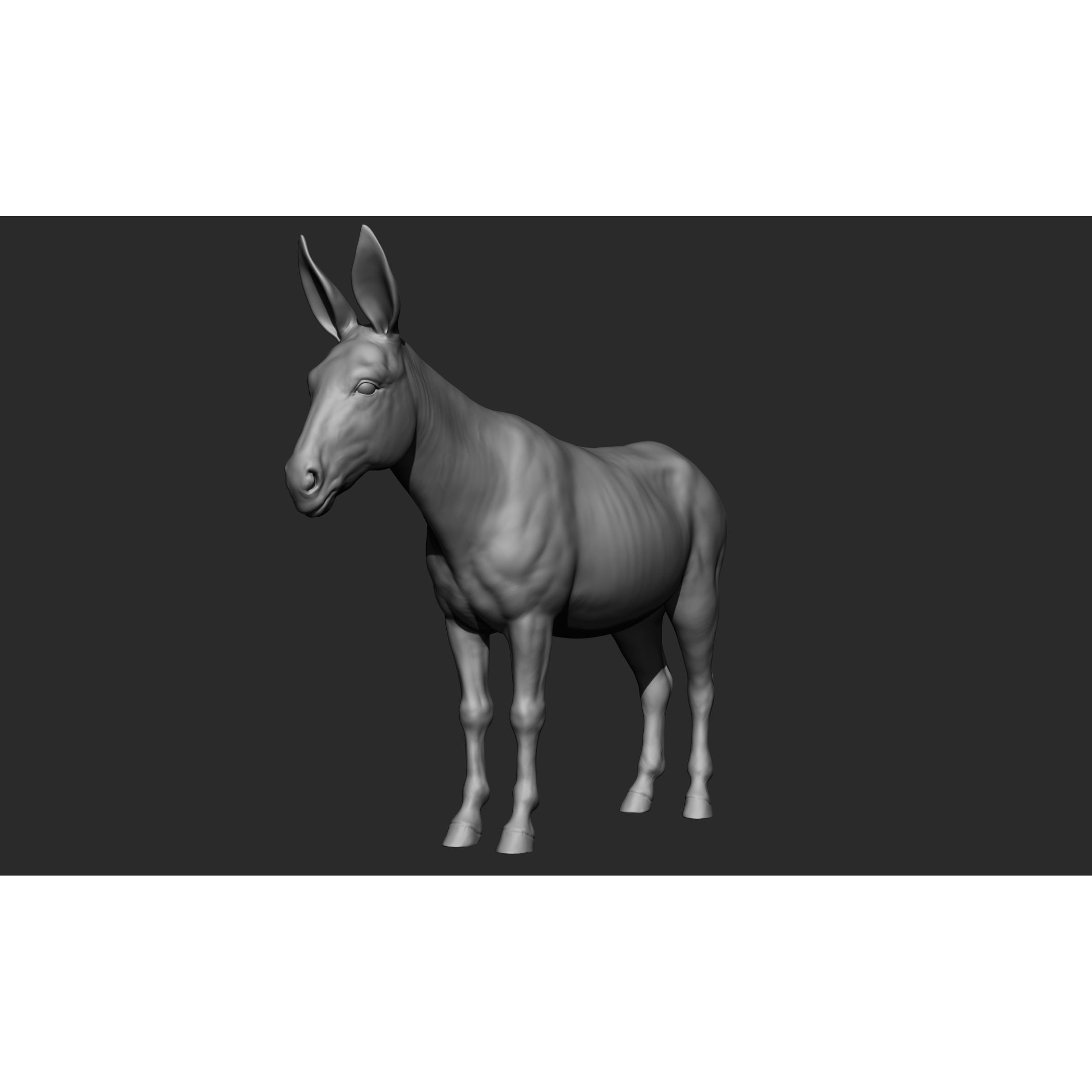 Domestic Animal Collection - Game-Ready 3D Model - View 60