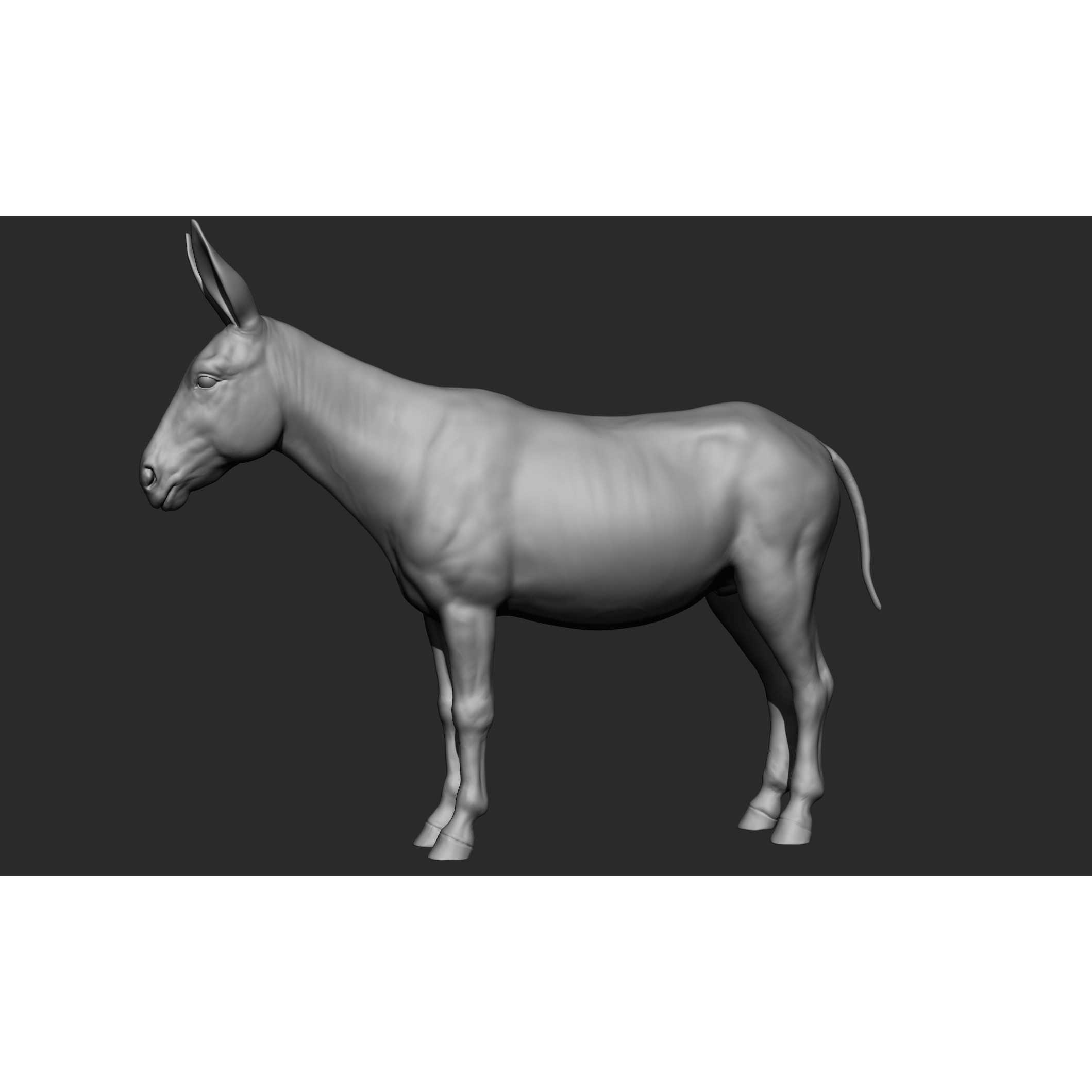 Domestic Animal Collection - Game-Ready 3D Model - View 61