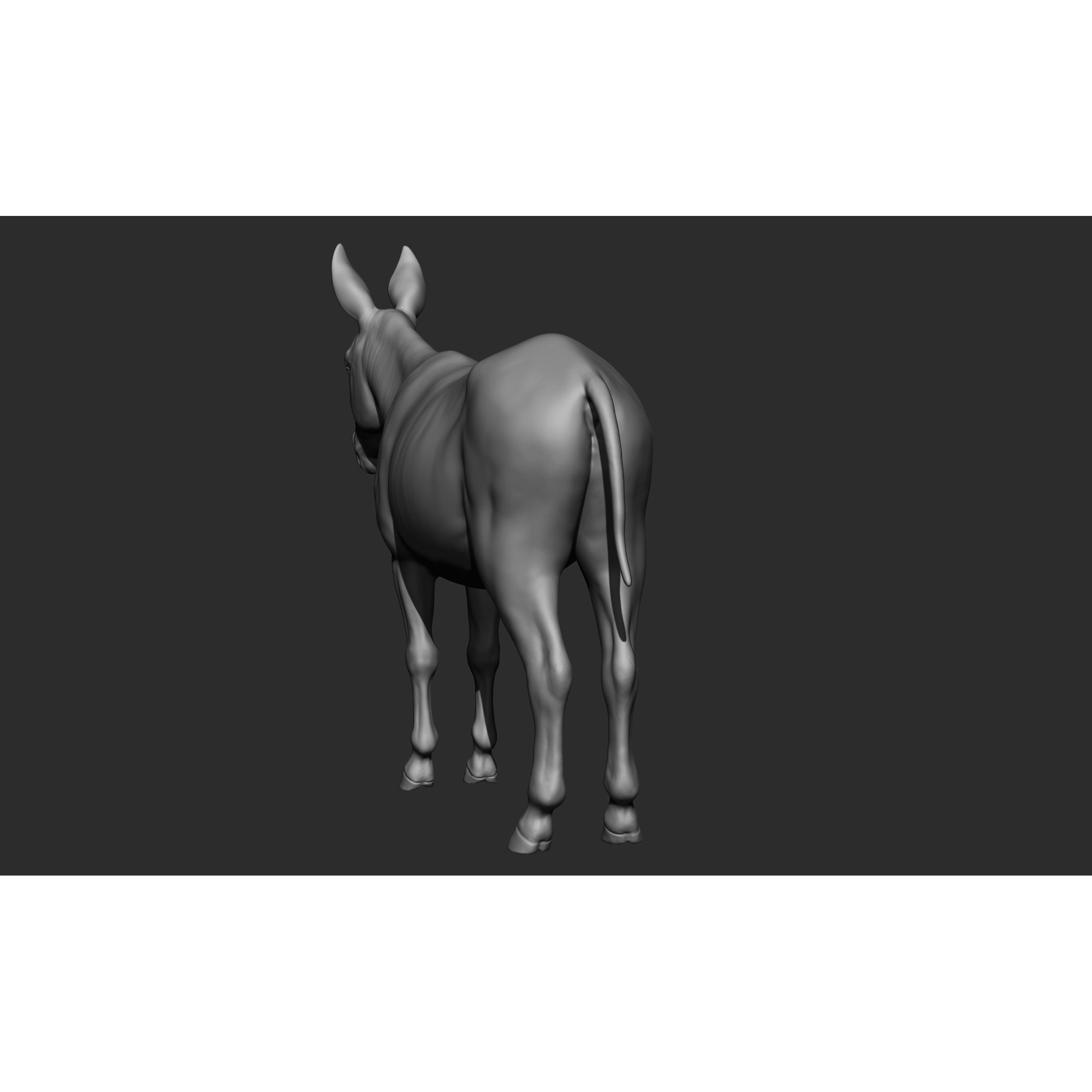 Domestic Animal Collection - Game-Ready 3D Model - View 63