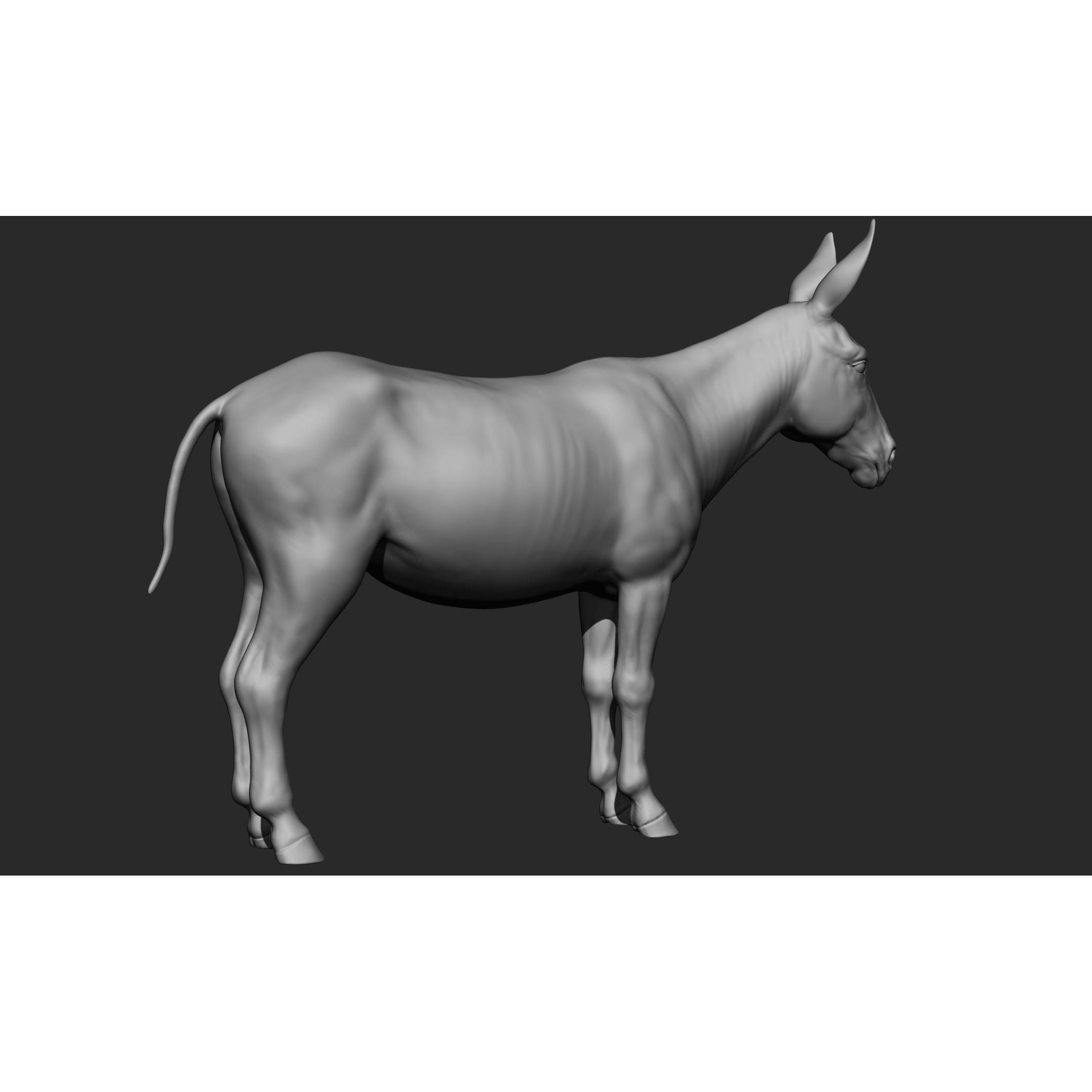 Domestic Animal Collection - Game-Ready 3D Model - View 64