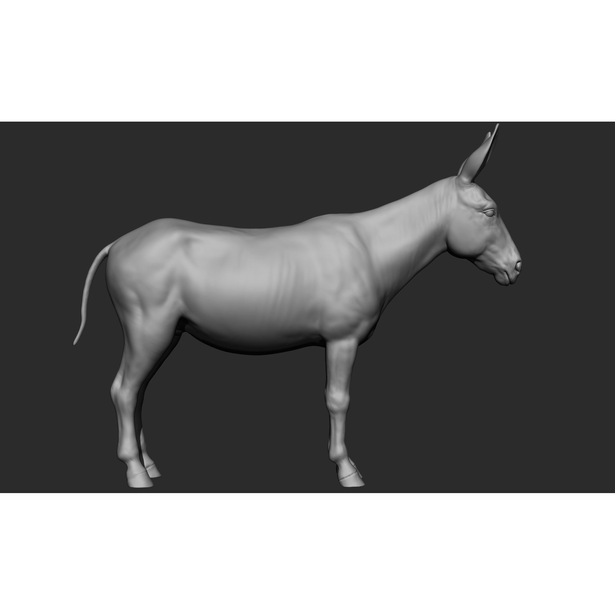Domestic Animal Collection - Game-Ready 3D Model - View 65