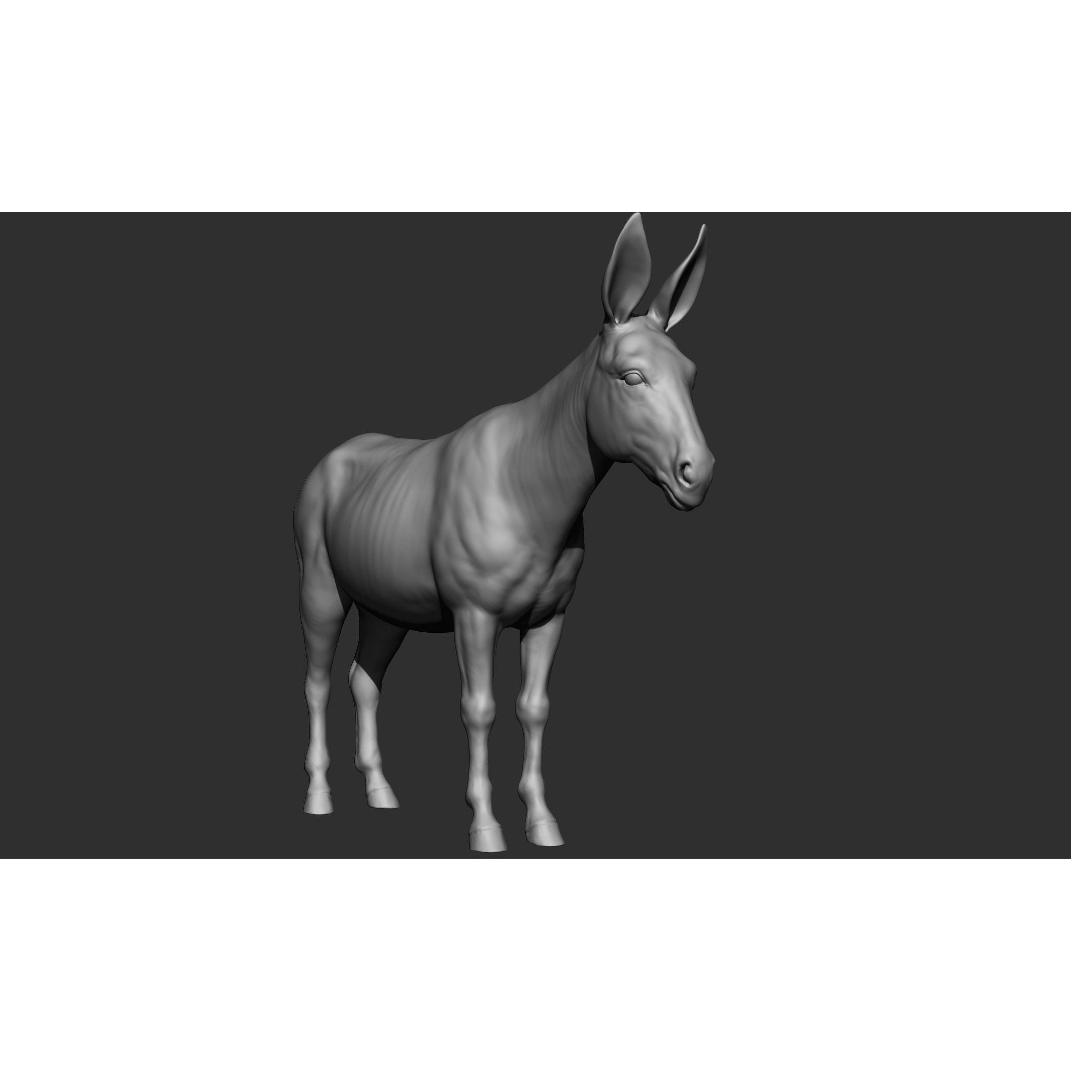 Domestic Animal Collection - Game-Ready 3D Model - View 66