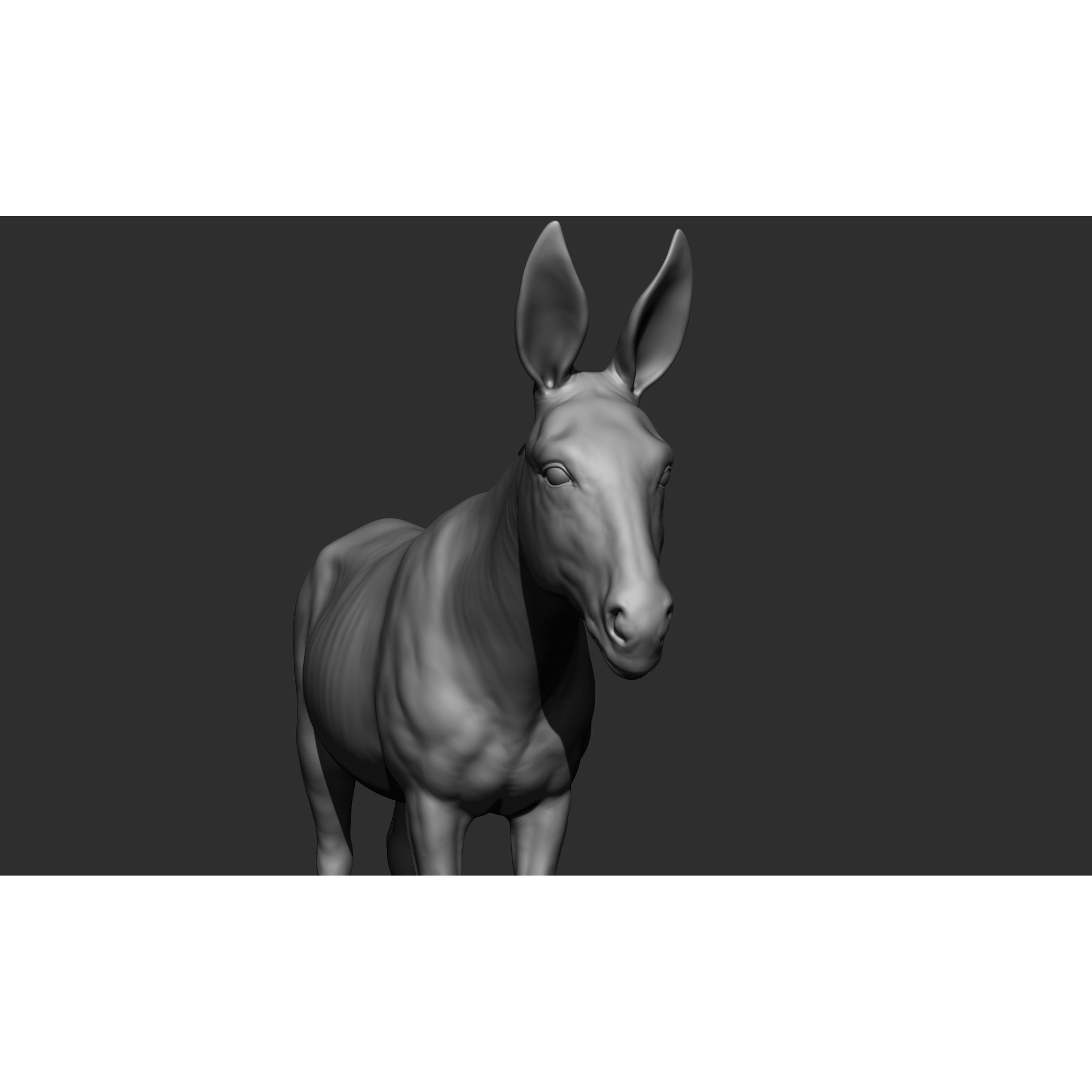 Domestic Animal Collection - Game-Ready 3D Model - View 67