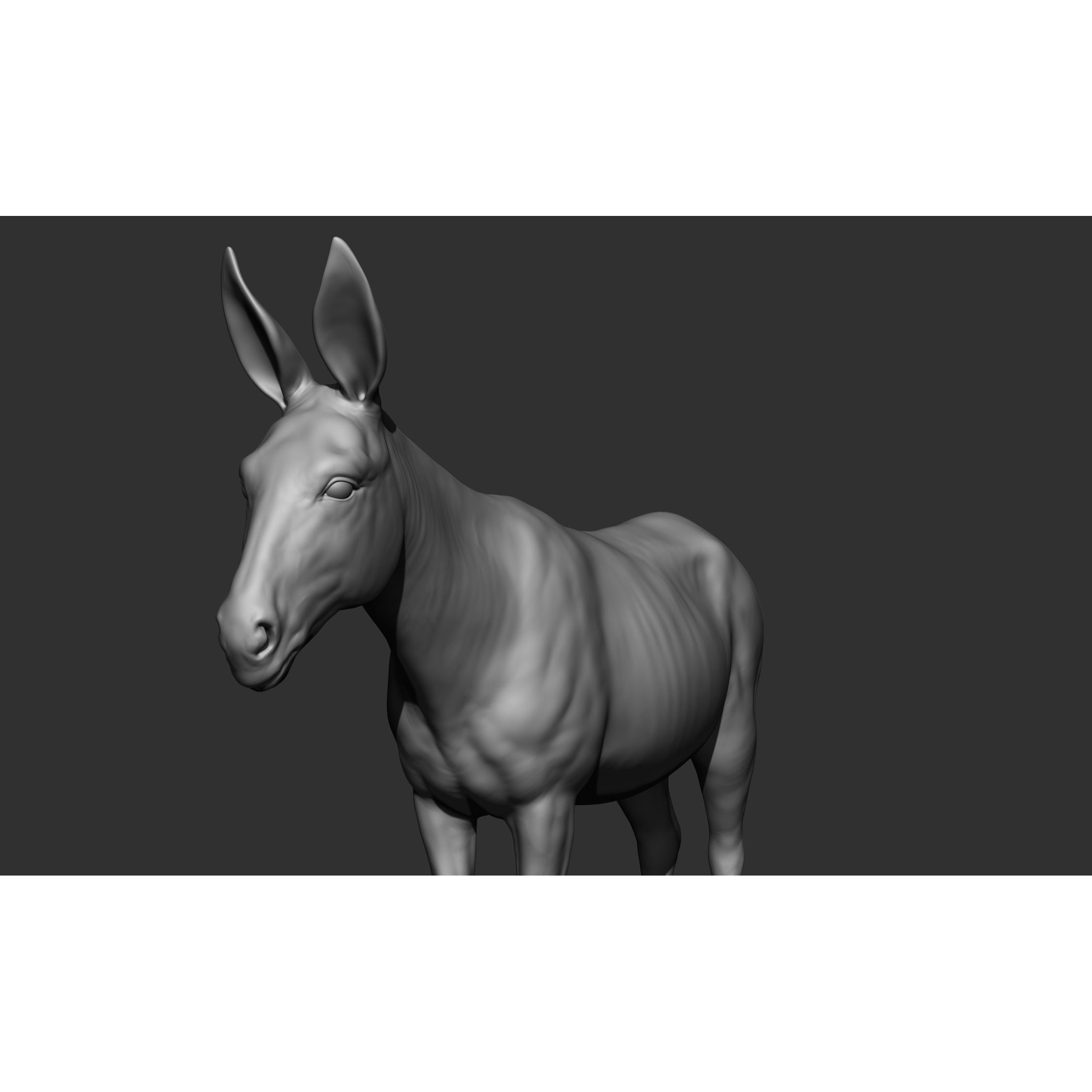 Domestic Animal Collection - Game-Ready 3D Model - View 68
