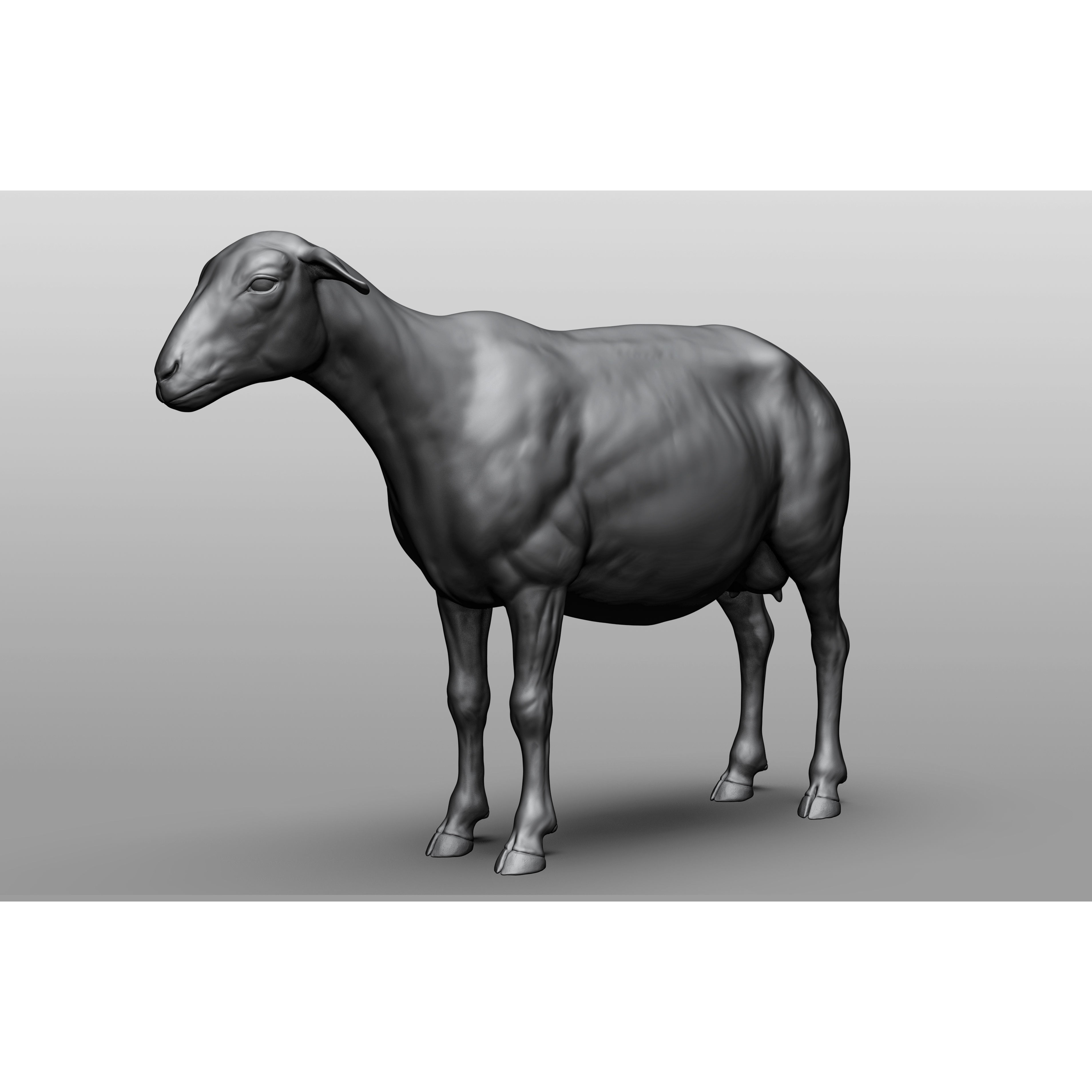 Domestic Animal Collection - Game-Ready 3D Model - View 7