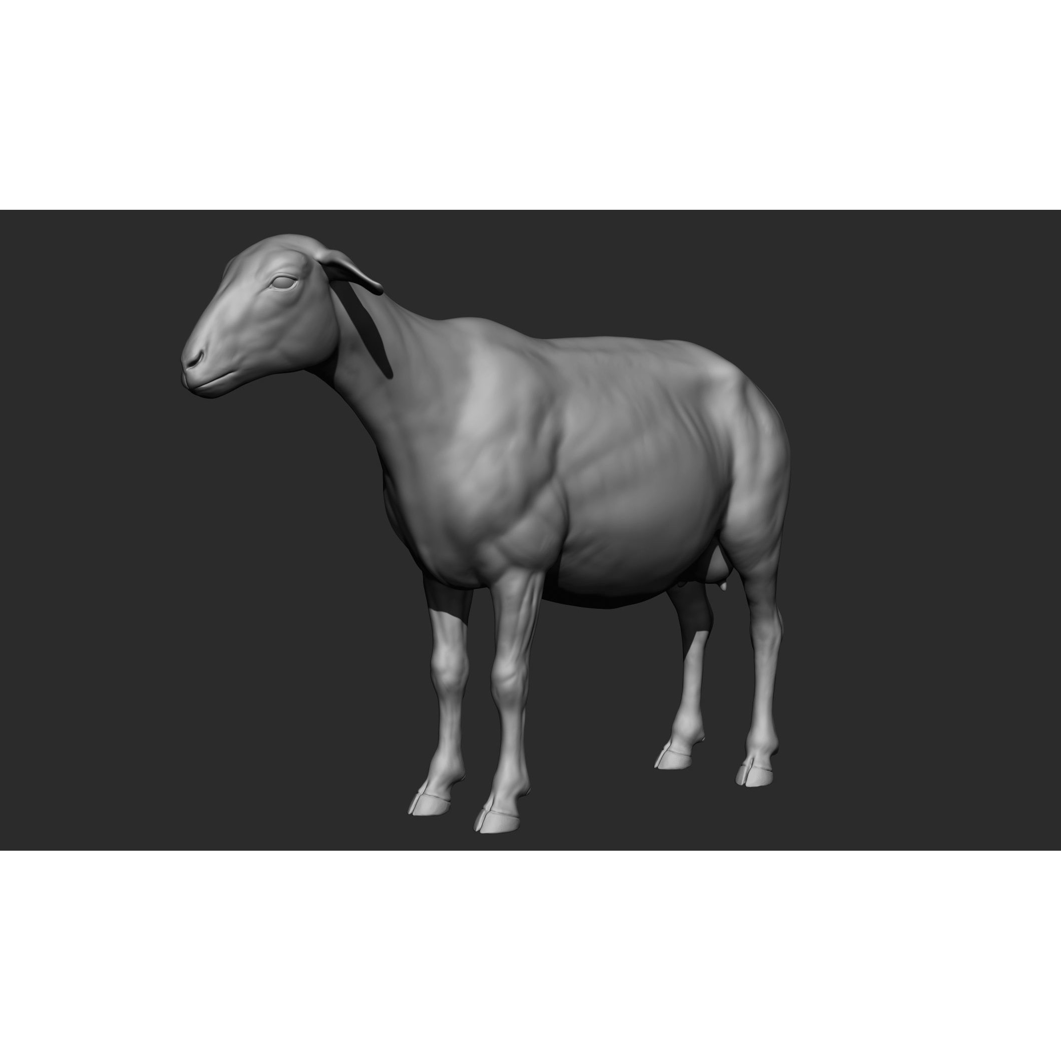 Domestic Animal Collection - Game-Ready 3D Model - View 70