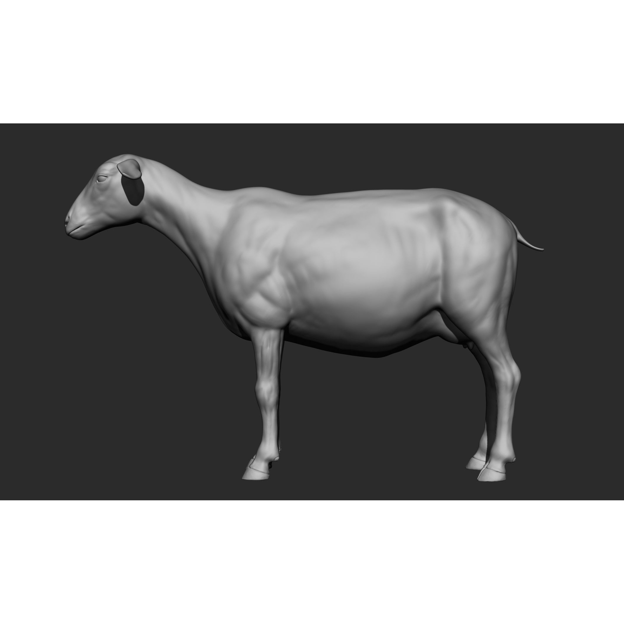 Domestic Animal Collection - Game-Ready 3D Model - View 71