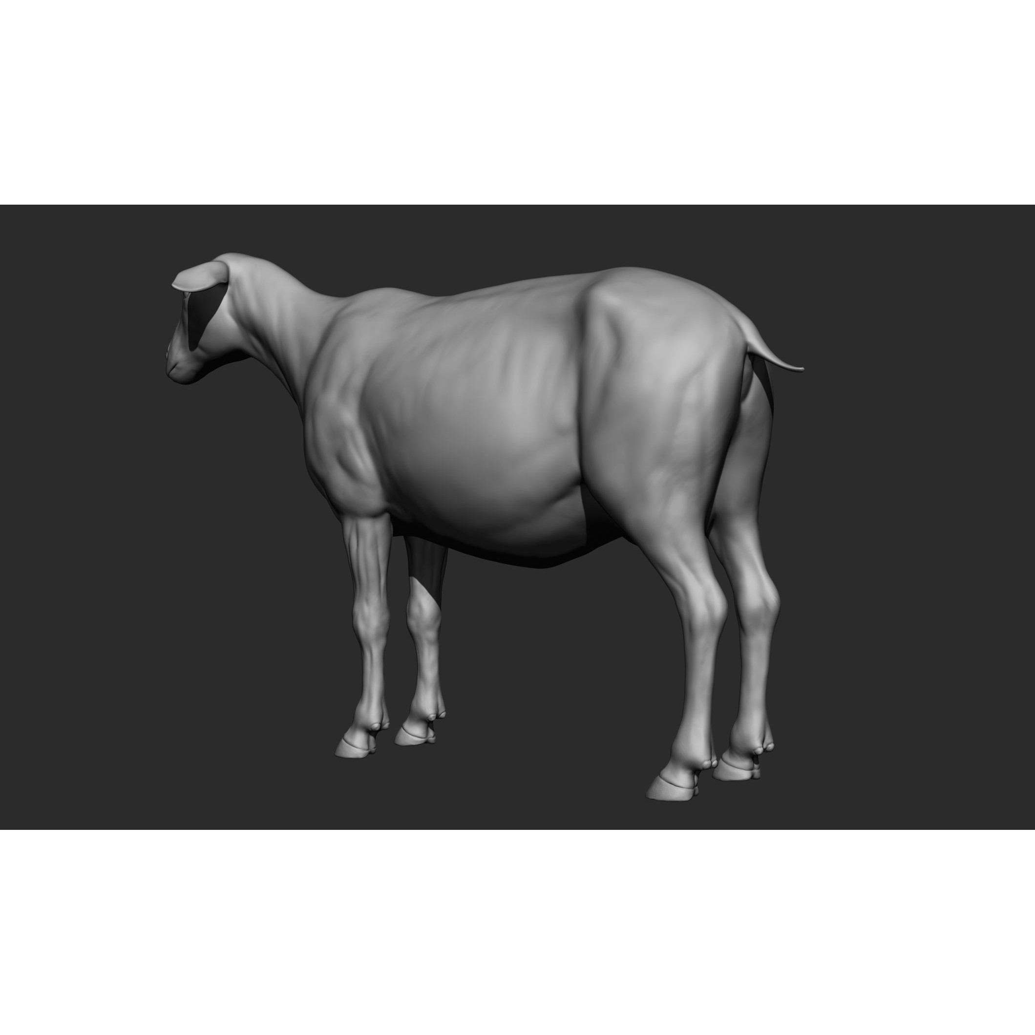 Domestic Animal Collection - Game-Ready 3D Model - View 72