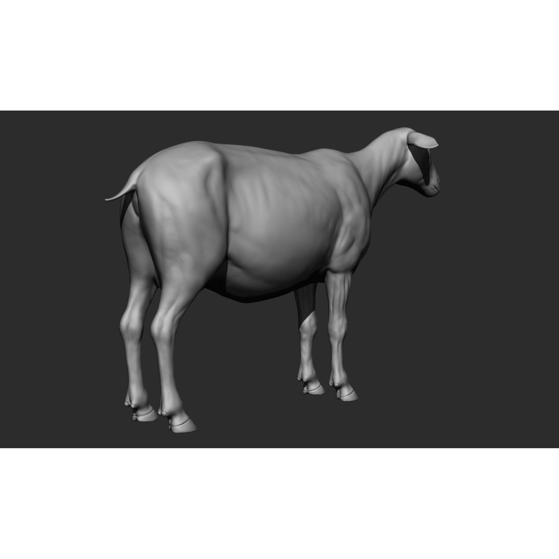 Domestic Animal Collection - Game-Ready 3D Model - View 73