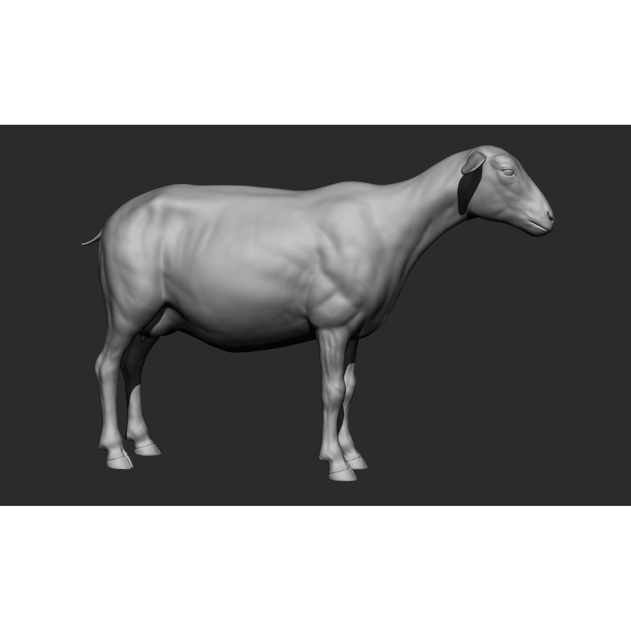 Domestic Animal Collection - Game-Ready 3D Model - View 74