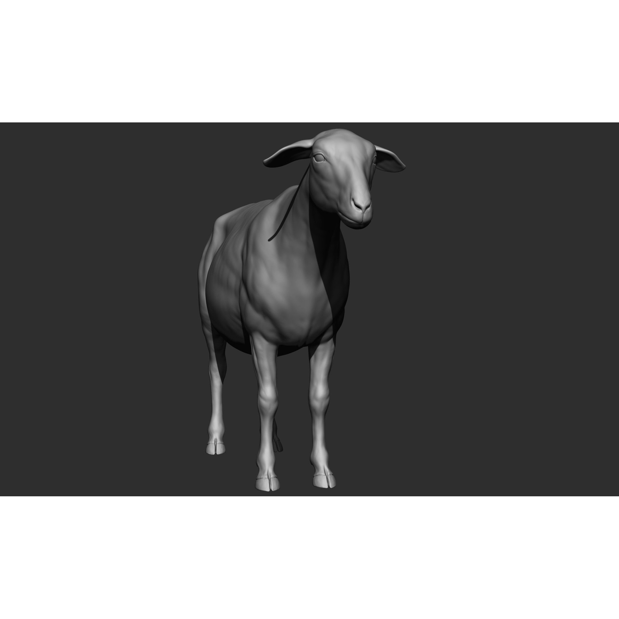 Domestic Animal Collection - Game-Ready 3D Model - View 75