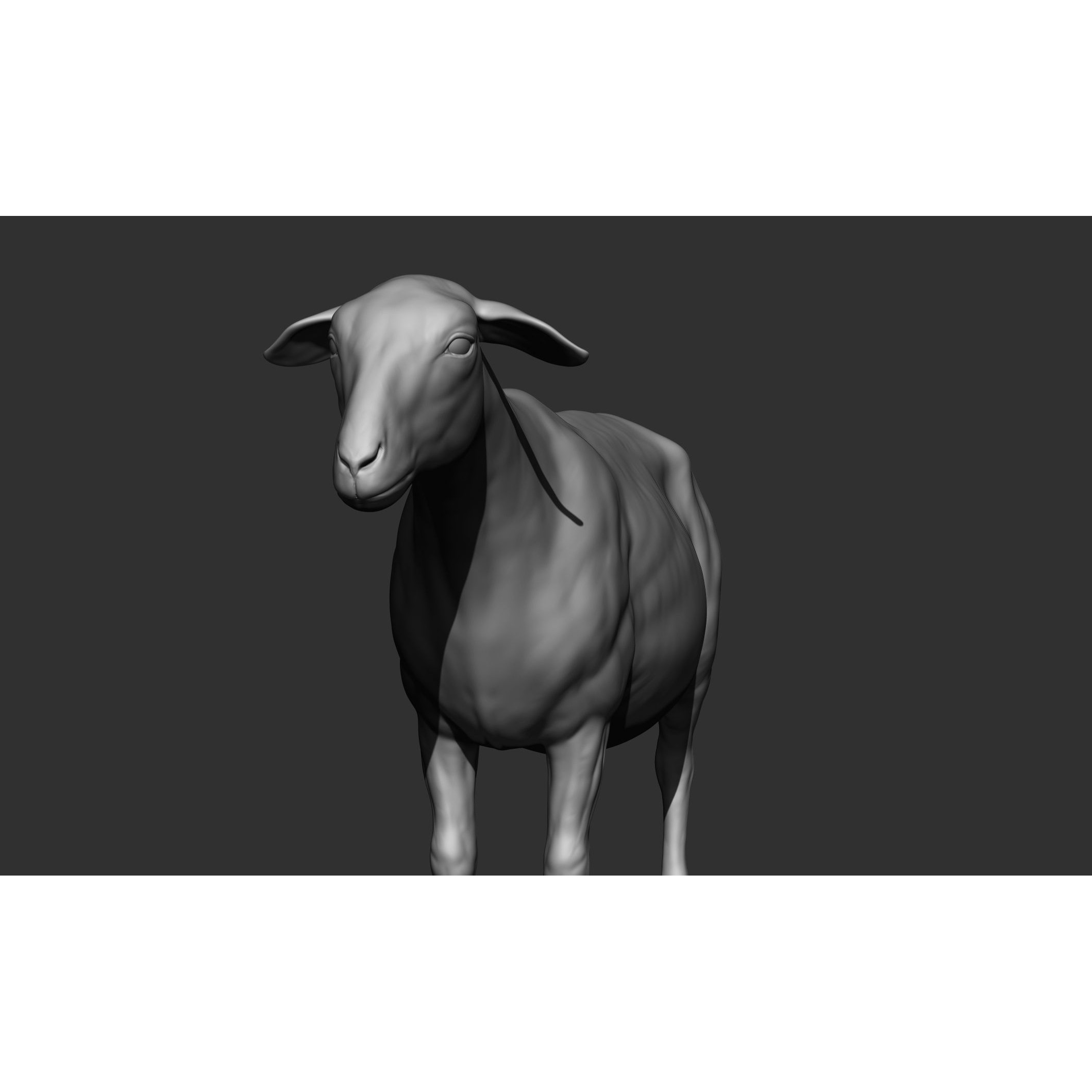 Domestic Animal Collection - Game-Ready 3D Model - View 76