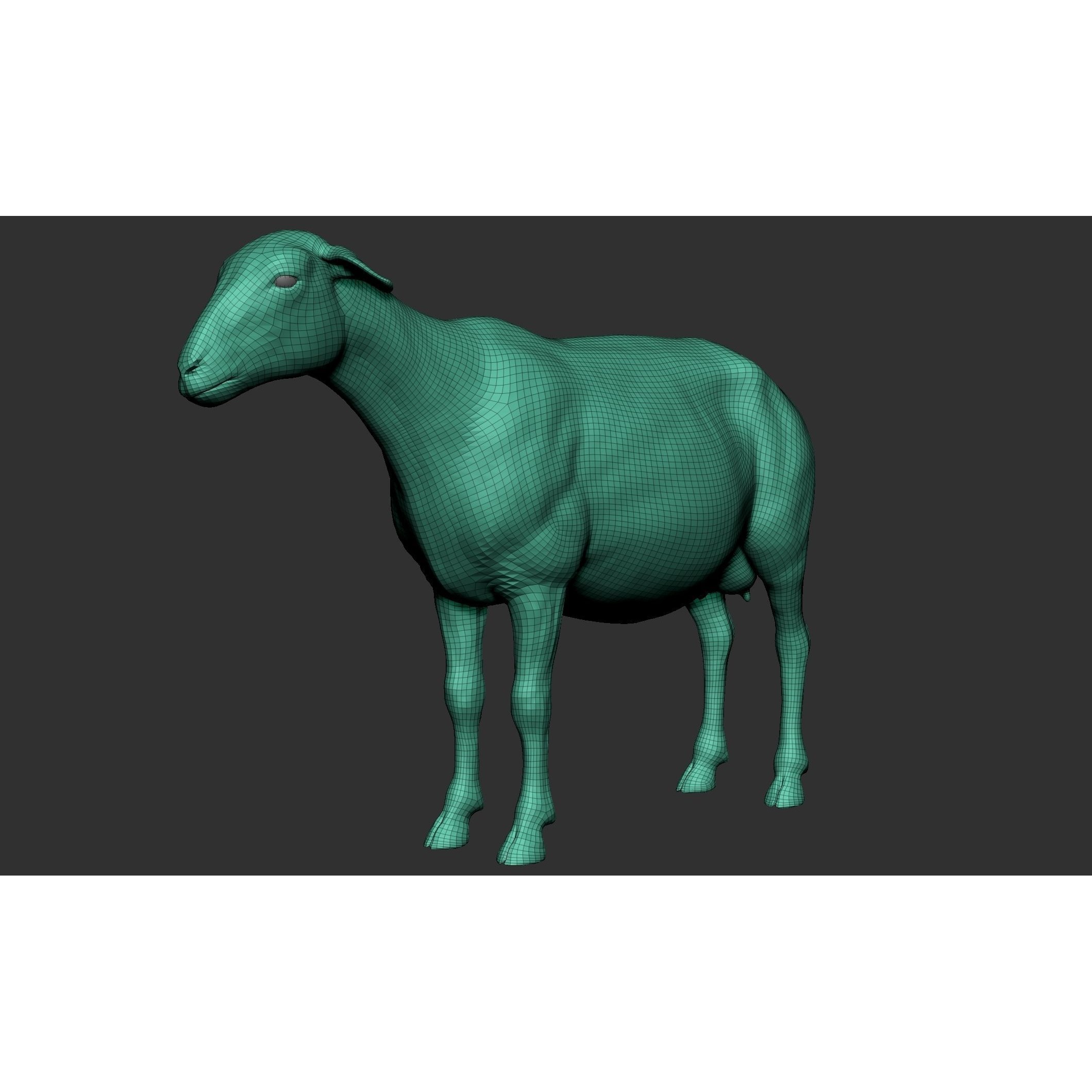 Domestic Animal Collection - Game-Ready 3D Model - View 77