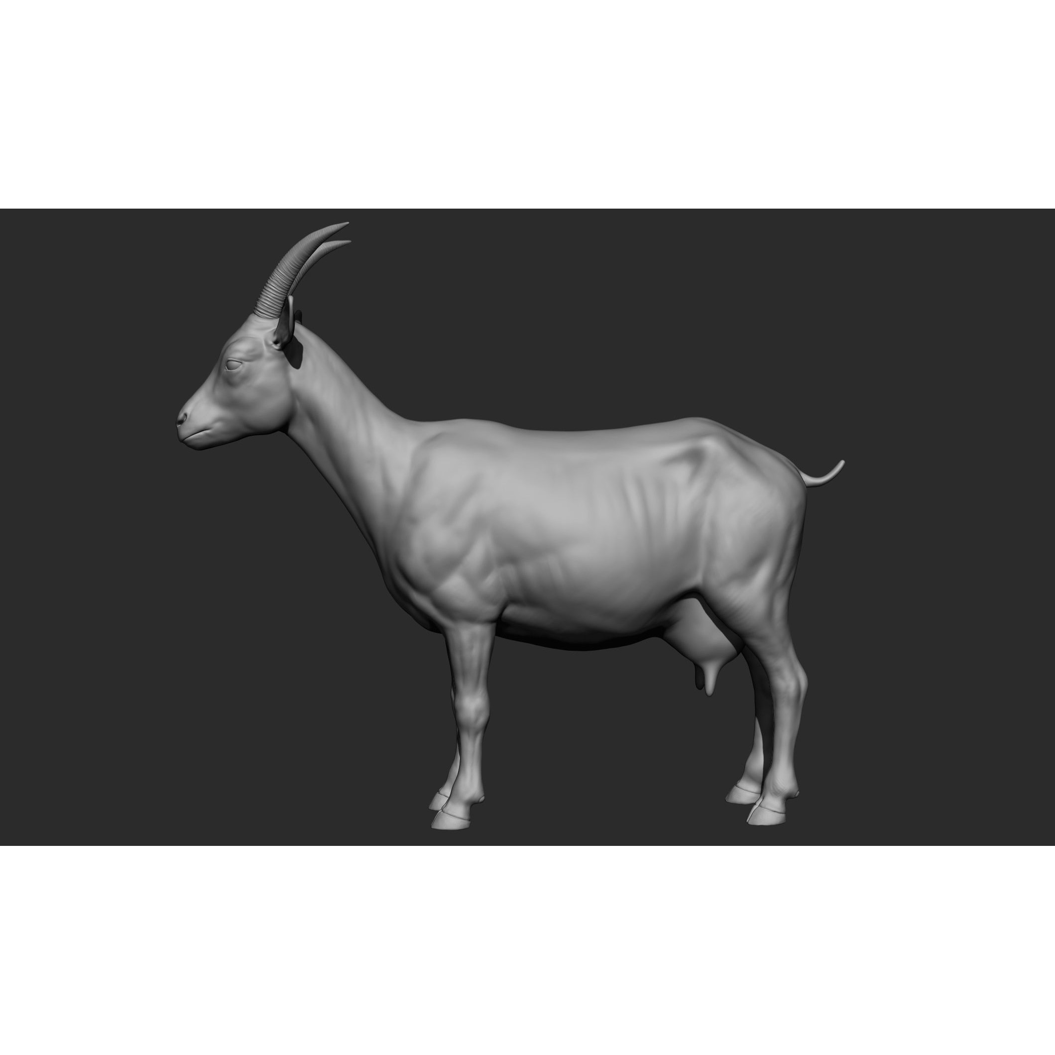 Domestic Animal Collection - Game-Ready 3D Model - View 78