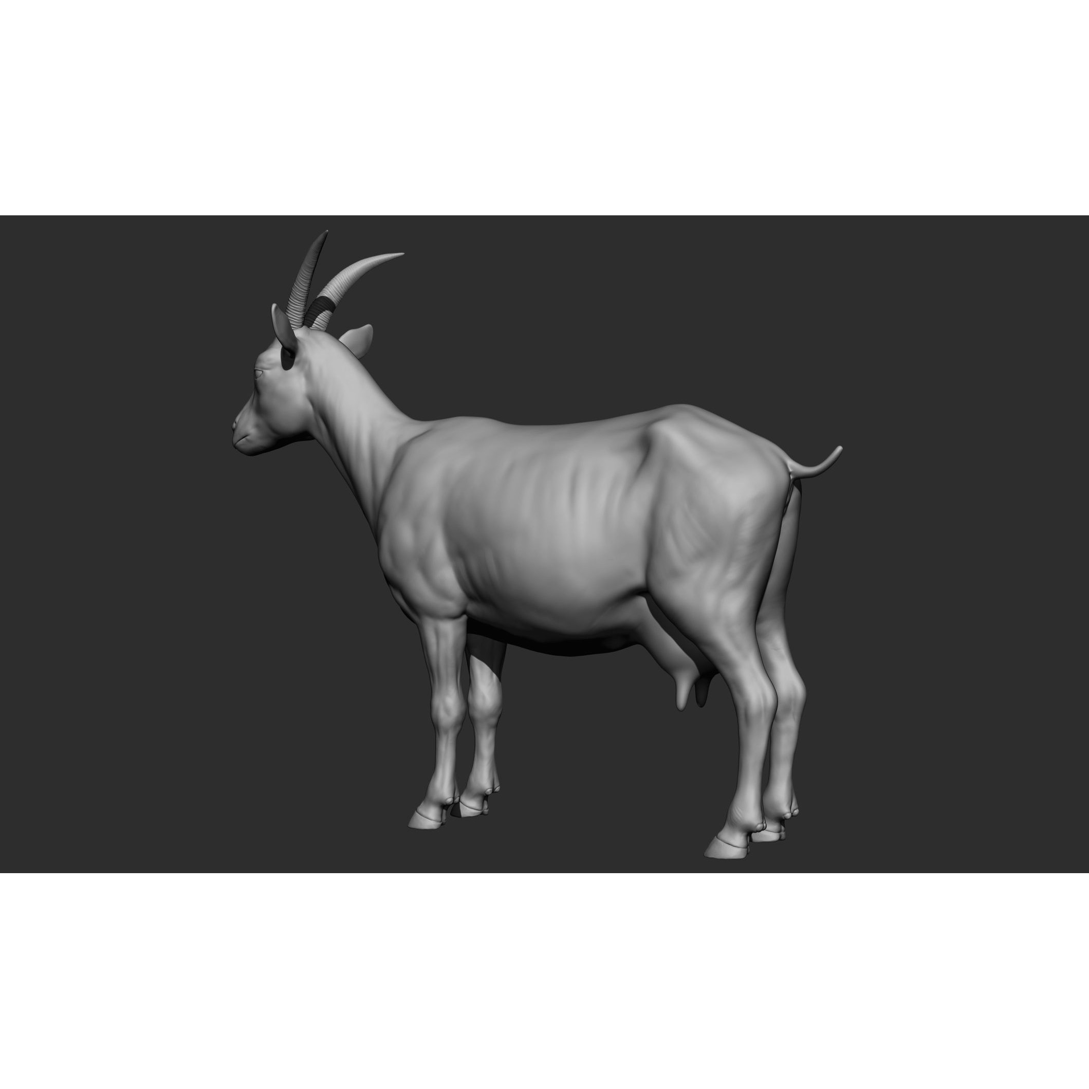 Domestic Animal Collection - Game-Ready 3D Model - View 79