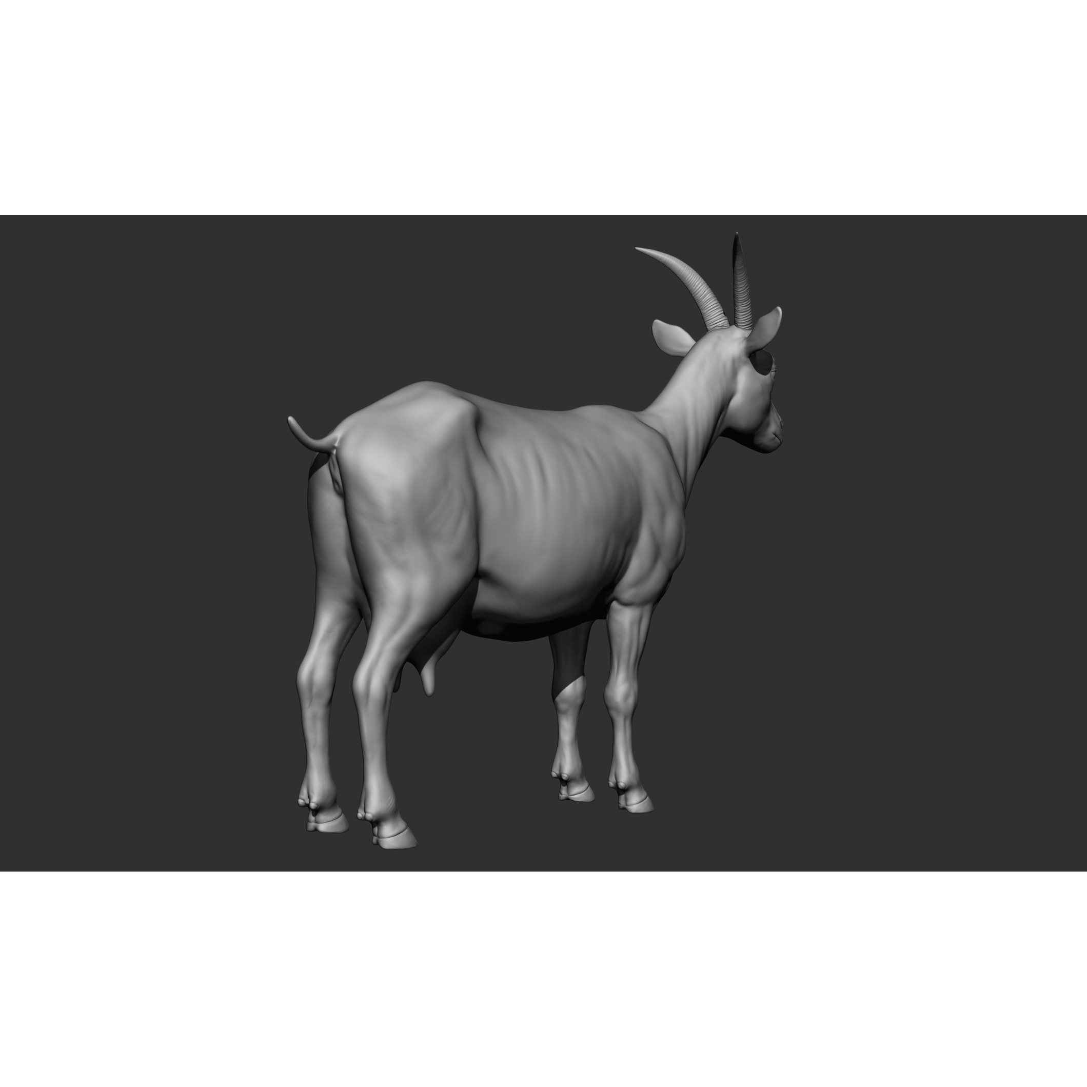 Domestic Animal Collection - Game-Ready 3D Model - View 81