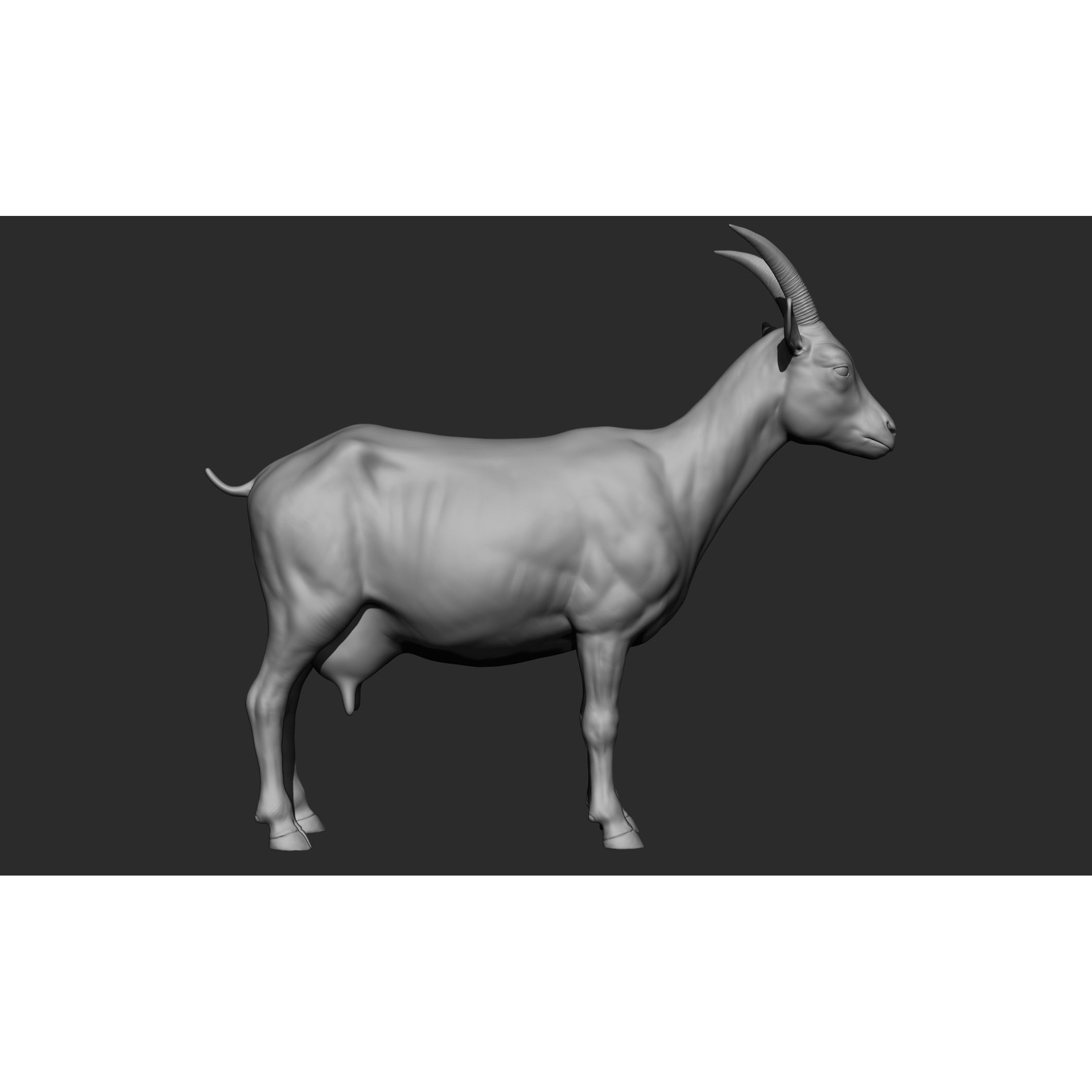 Domestic Animal Collection - Game-Ready 3D Model - View 82