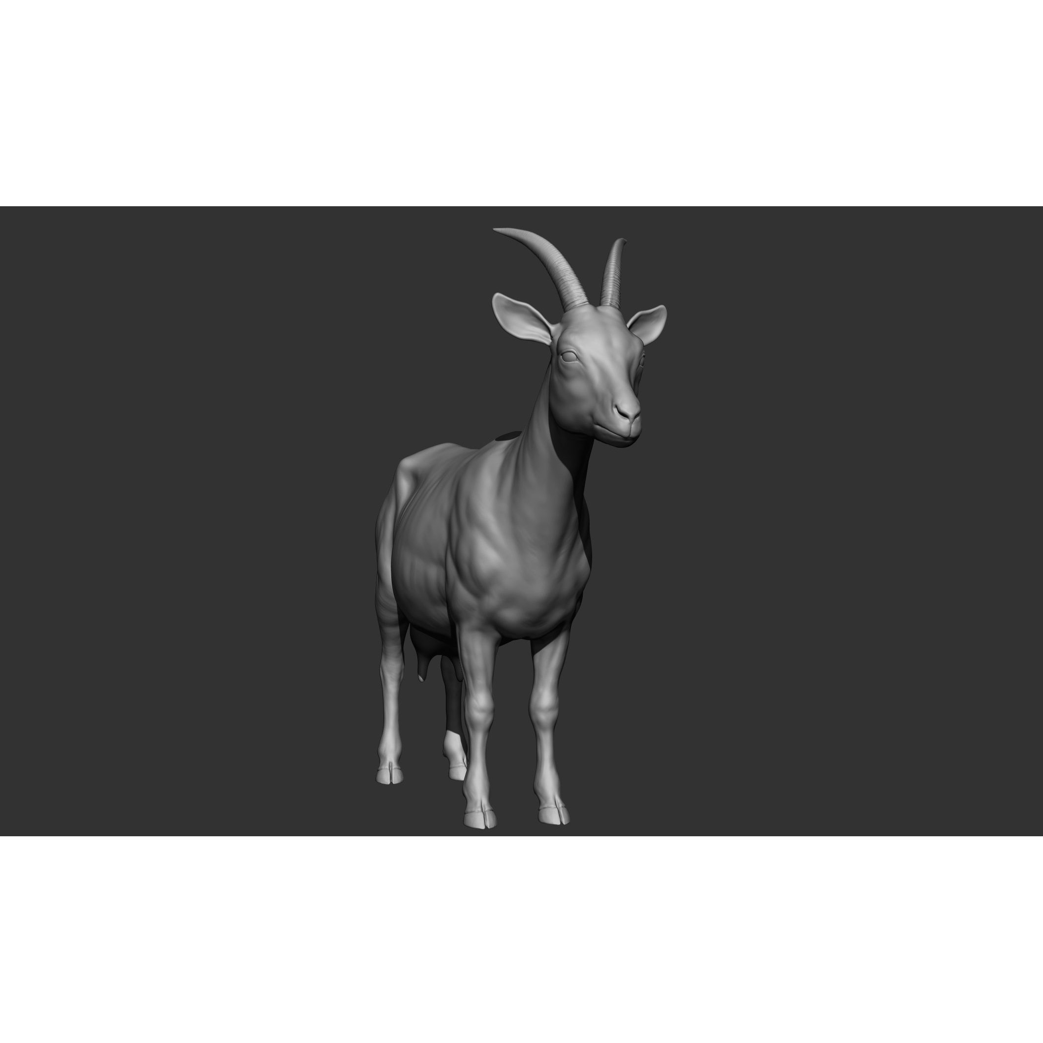 Domestic Animal Collection - Game-Ready 3D Model - View 83