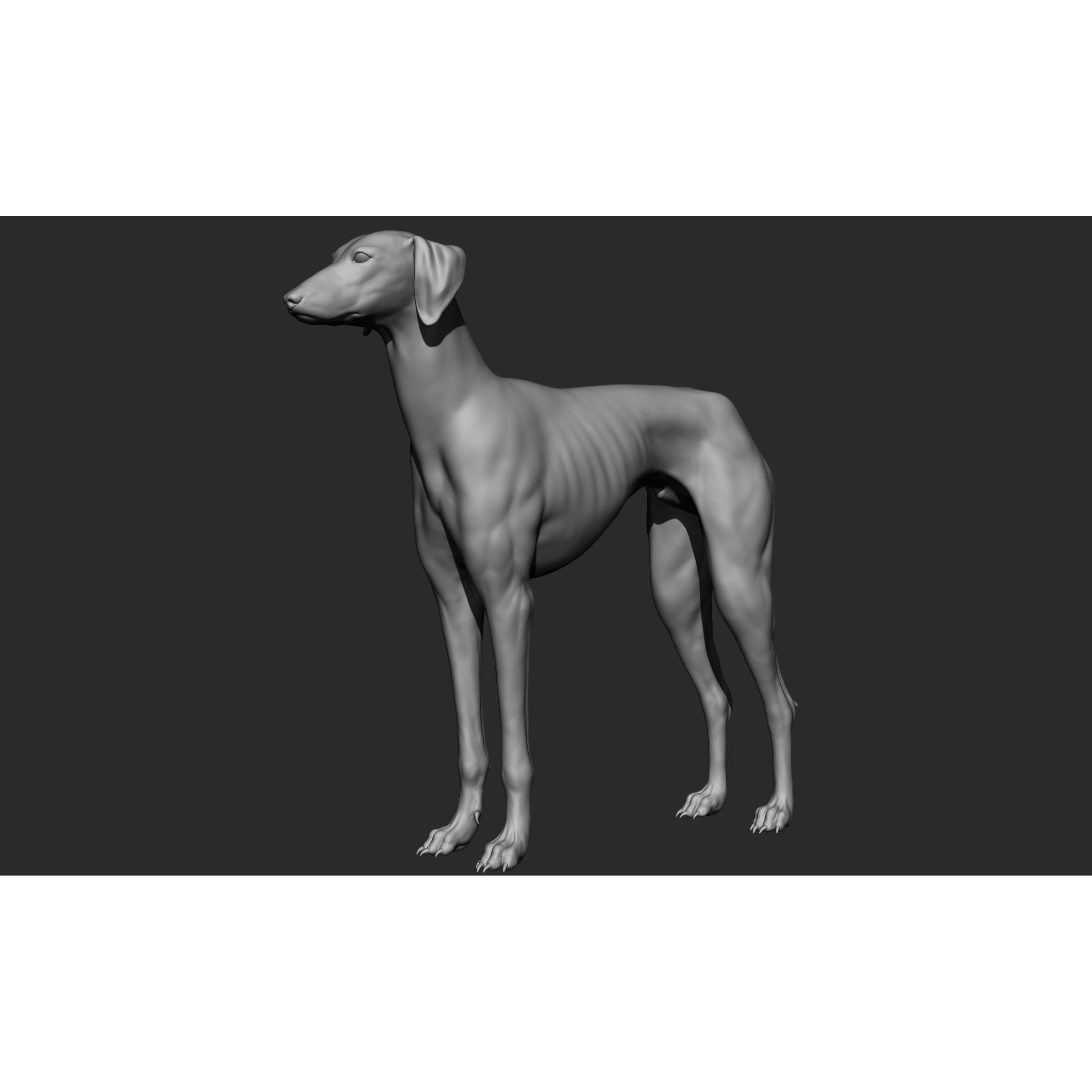 Domestic Animal Collection - Game-Ready 3D Model - View 86