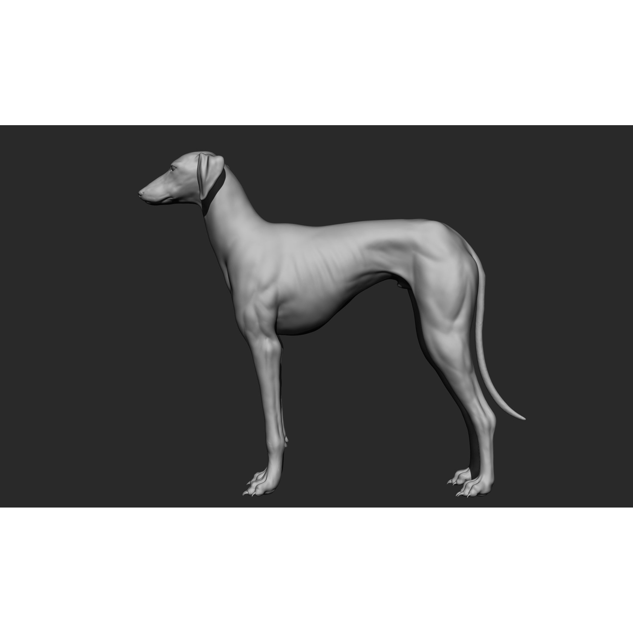 Domestic Animal Collection - Game-Ready 3D Model - View 87