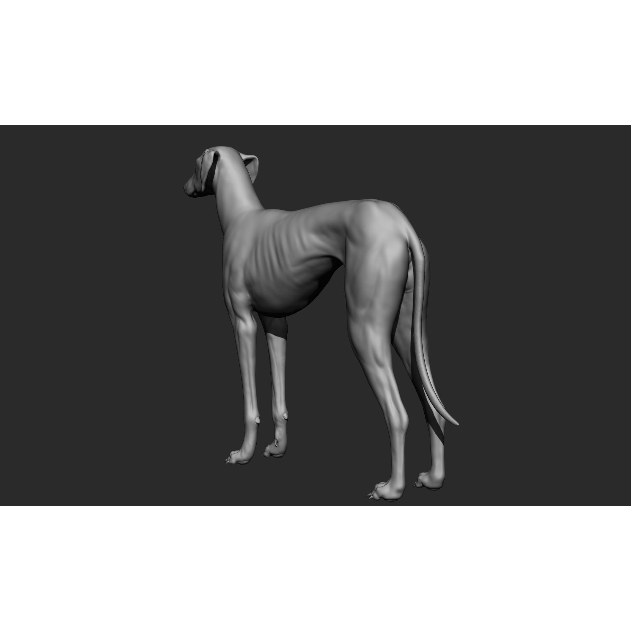 Domestic Animal Collection - Game-Ready 3D Model - View 88