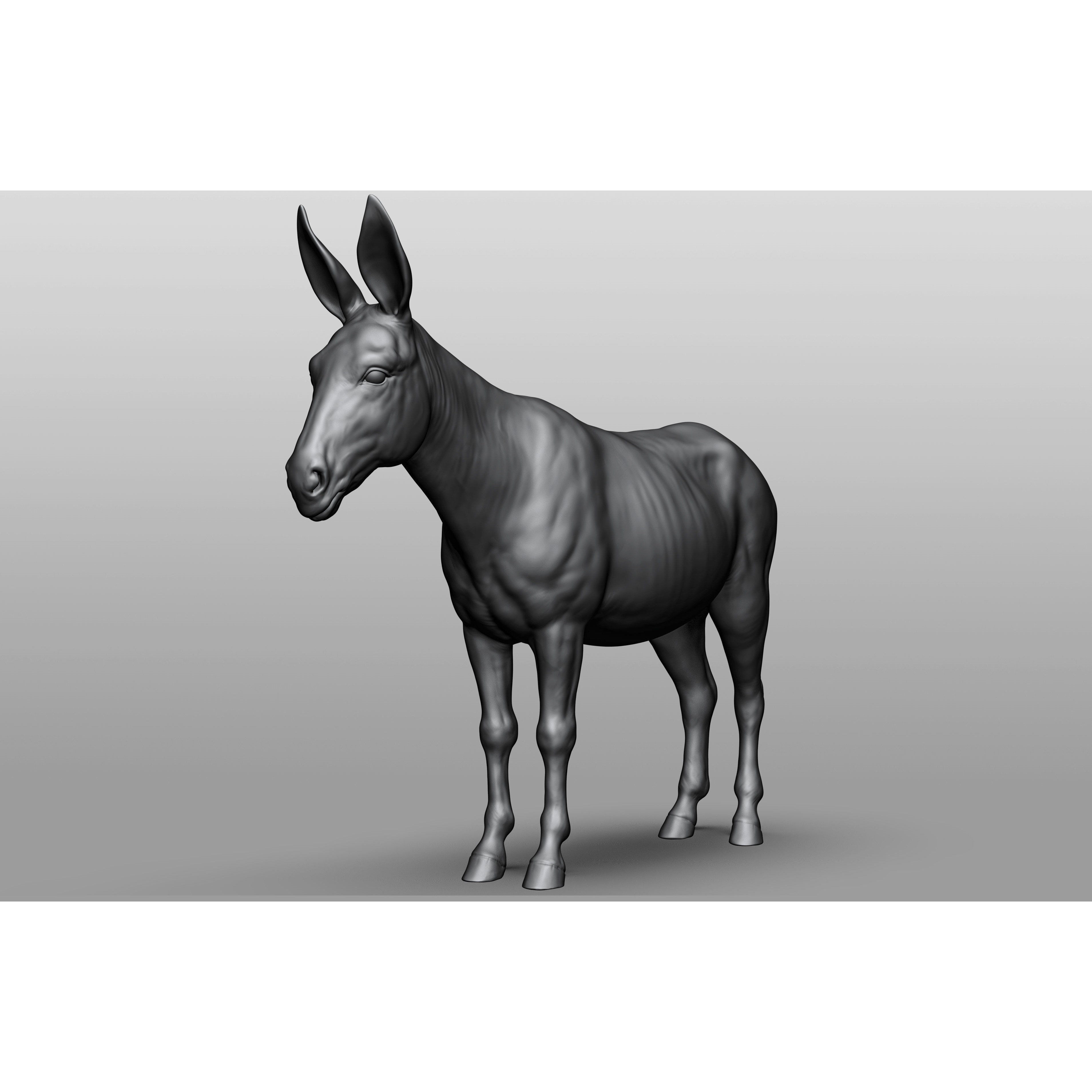Domestic Animal Collection - Game-Ready 3D Model - View 9