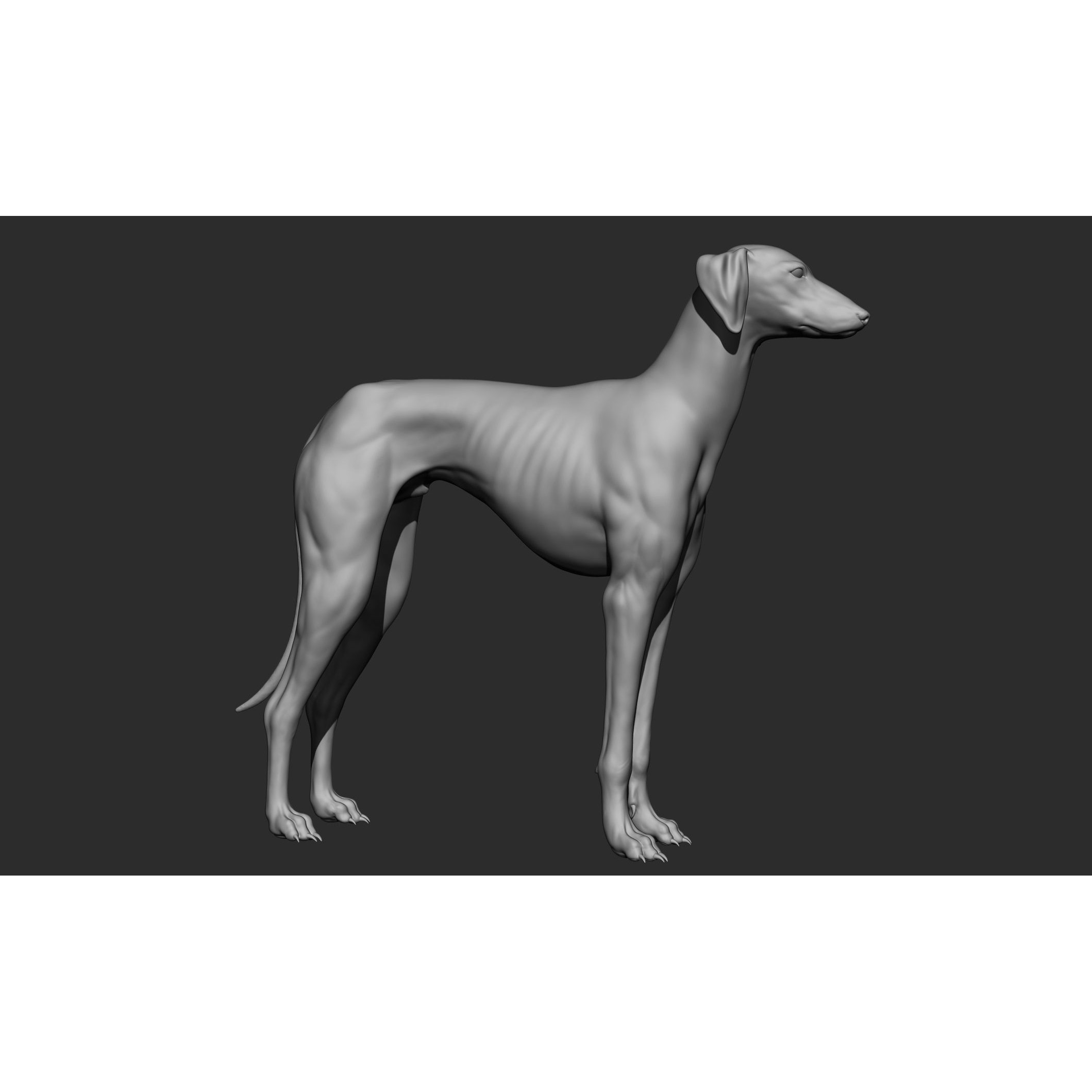Domestic Animal Collection - Game-Ready 3D Model - View 90