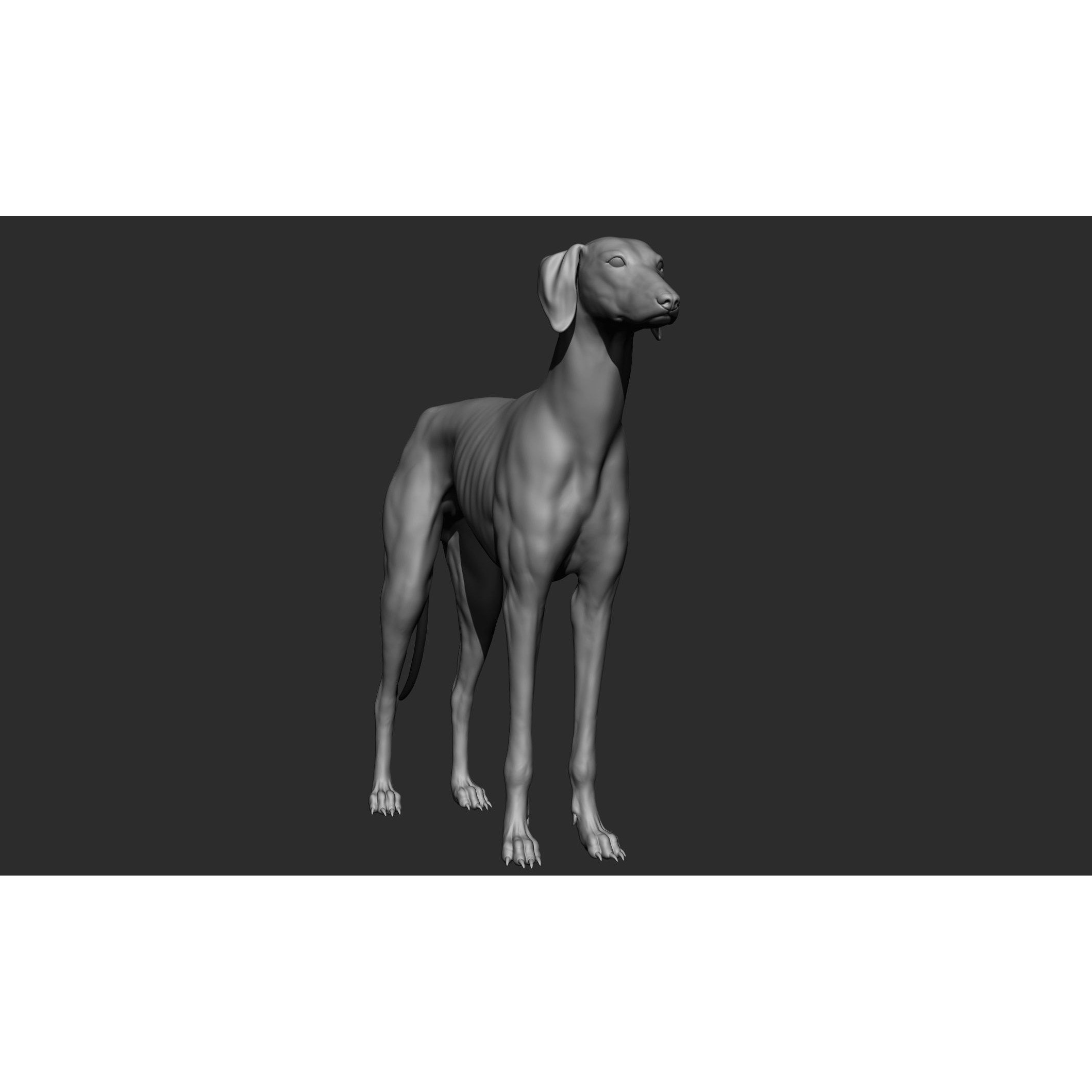 Domestic Animal Collection - Game-Ready 3D Model - View 91