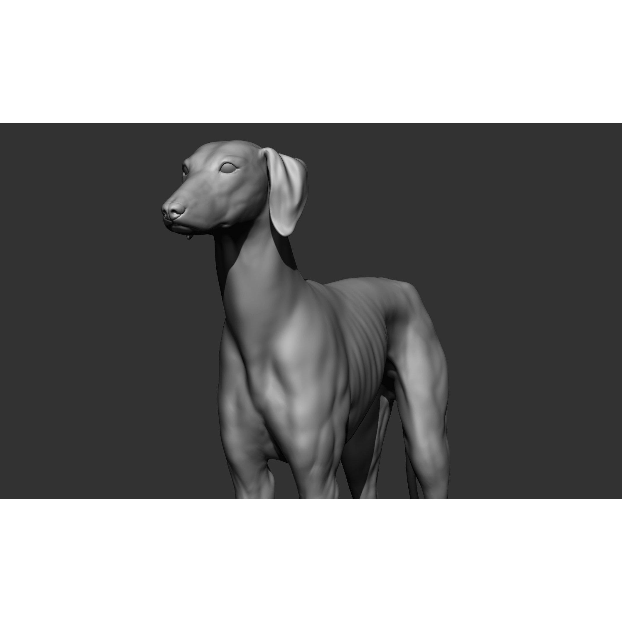 Domestic Animal Collection - Game-Ready 3D Model - View 93