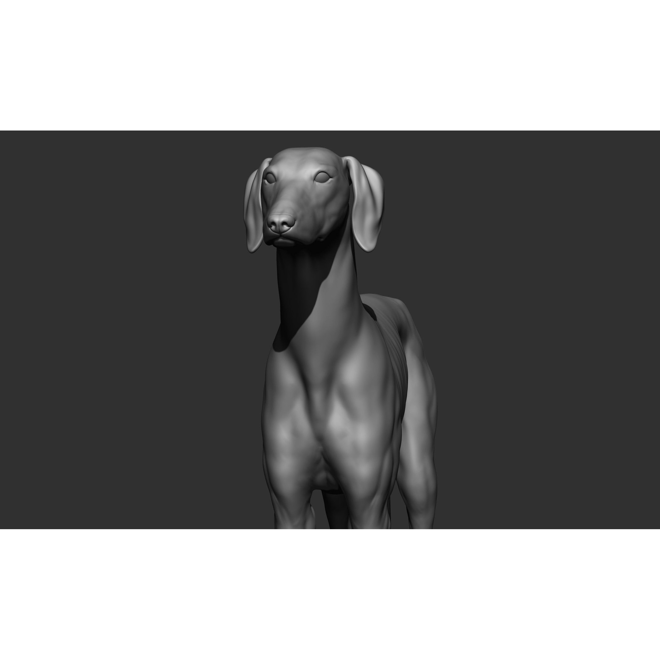 Domestic Animal Collection - Game-Ready 3D Model - View 94